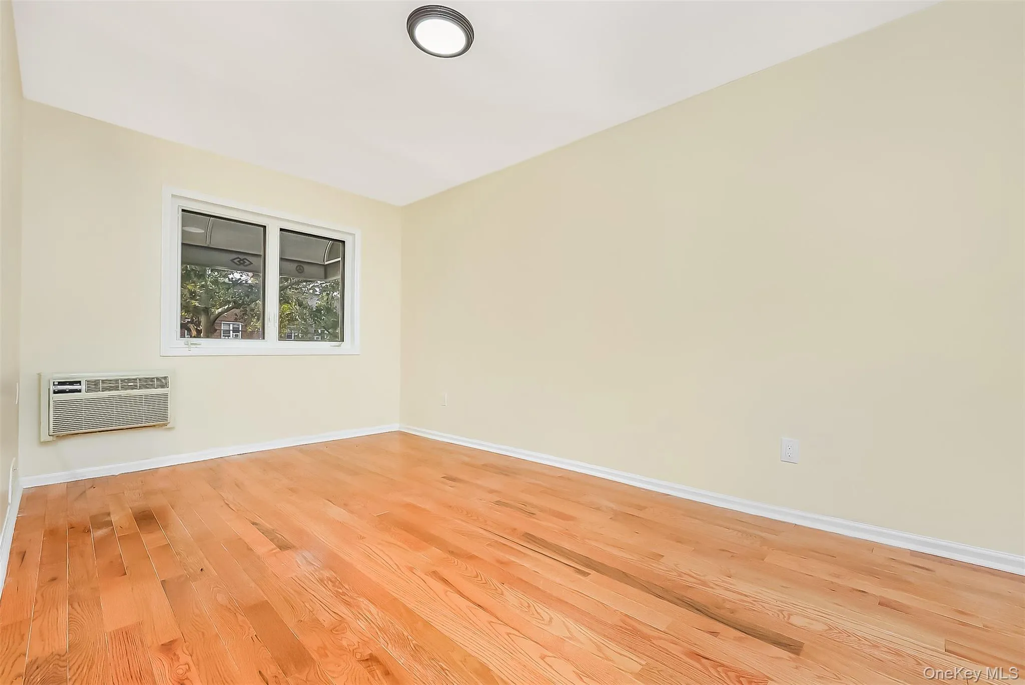 1169 81st Street, New York, NY, 3 Bedrooms Bedrooms, 6 Rooms Rooms,1 BathroomBathrooms,Residential,For Rent,81st,0,1041079 1169 81st Street, New York, NY, 3 Bedrooms Bedrooms, 6 Rooms Rooms,1 BathroomBathrooms,Residential,For Rent,81st,0,1041079