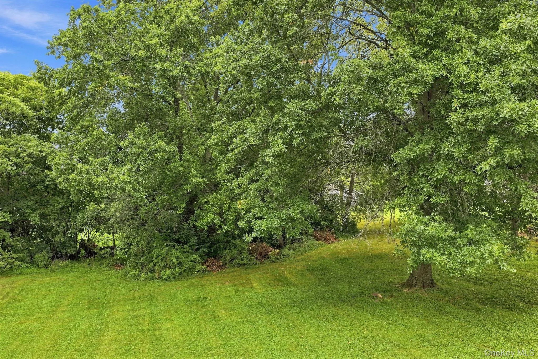 2 Fleetwood Drive, Goshen, NY, 4 Bedrooms Bedrooms, 7 Rooms Rooms,1 BathroomBathrooms,Residential,For Rent,Fleetwood,0,1041085 2 Fleetwood Drive, Goshen, NY, 4 Bedrooms Bedrooms, 7 Rooms Rooms,1 BathroomBathrooms,Residential,For Rent,Fleetwood,0,1041085