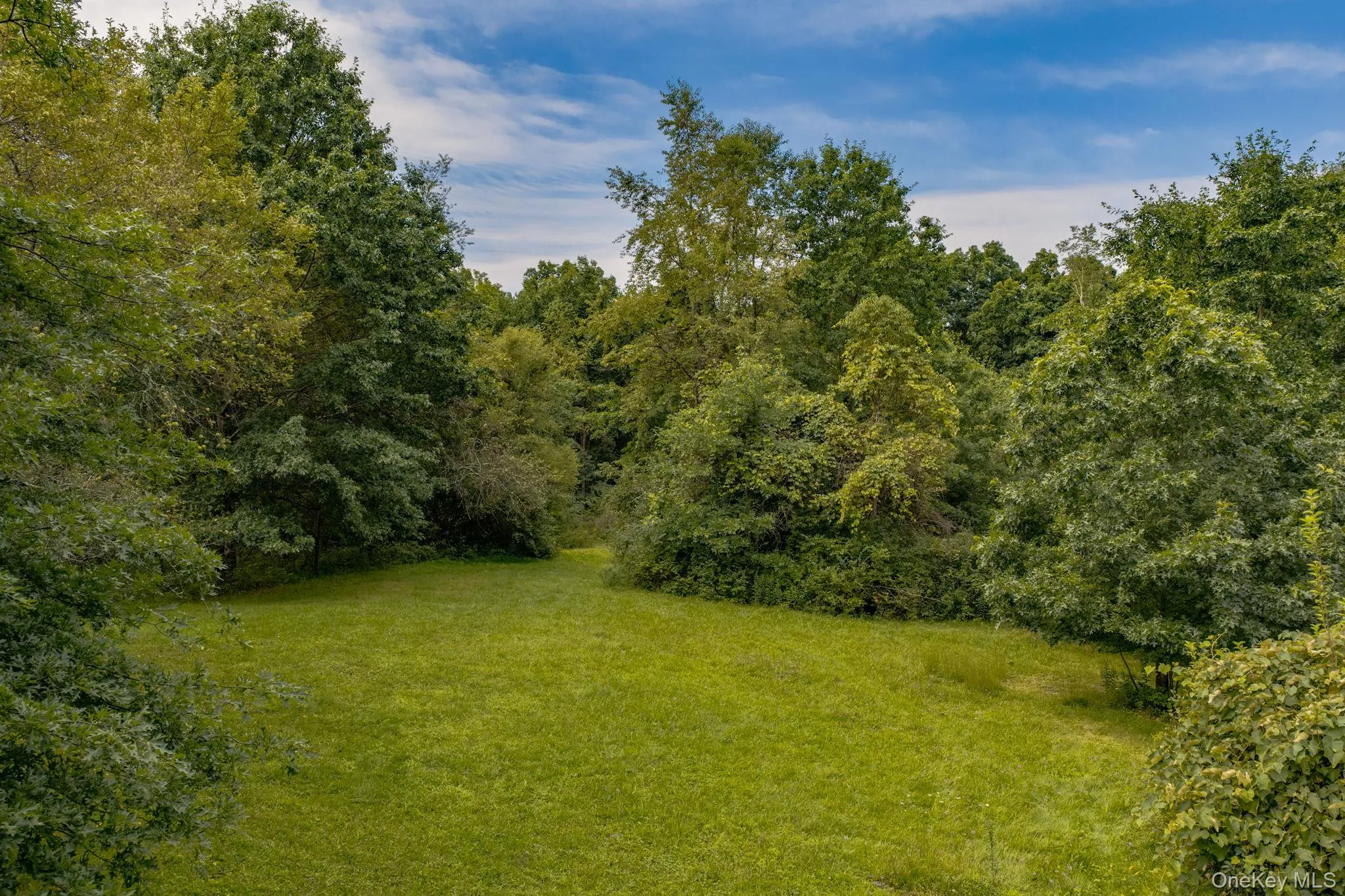 53 Woods Road, Greenville, NY, 5 Bedrooms Bedrooms, 11 Rooms Rooms,3 BathroomsBathrooms,Residential,For Rent,Woods,0,1041097 53 Woods Road, Greenville, NY, 5 Bedrooms Bedrooms, 11 Rooms Rooms,3 BathroomsBathrooms,Residential,For Rent,Woods,0,1041097