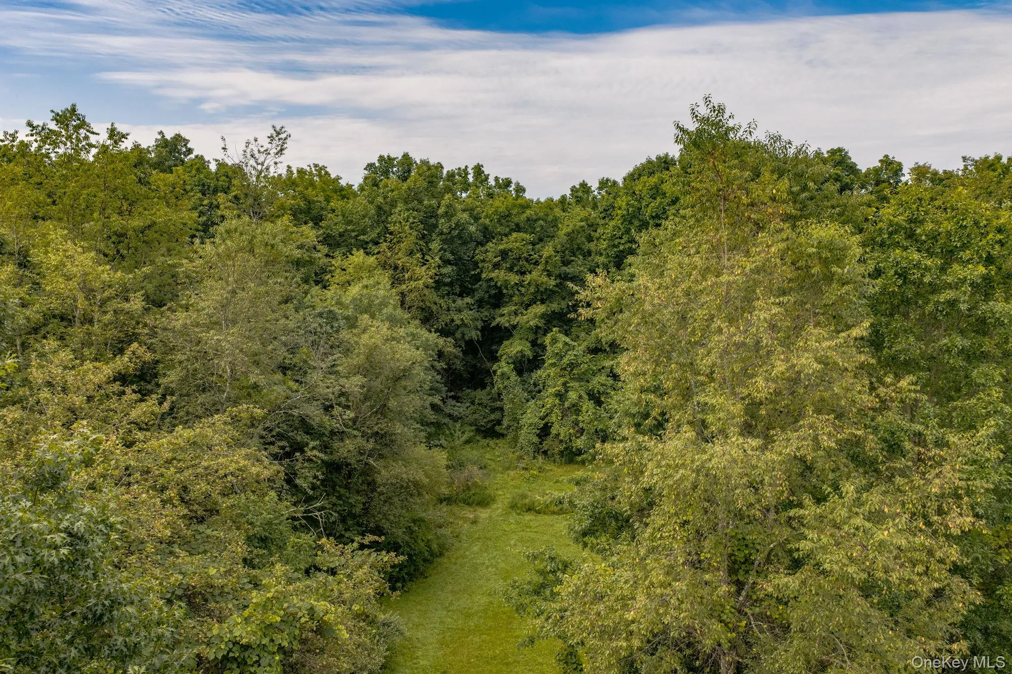 53 Woods Road, Greenville, NY, 5 Bedrooms Bedrooms, 11 Rooms Rooms,3 BathroomsBathrooms,Residential,For Rent,Woods,0,1041097 53 Woods Road, Greenville, NY, 5 Bedrooms Bedrooms, 11 Rooms Rooms,3 BathroomsBathrooms,Residential,For Rent,Woods,0,1041097