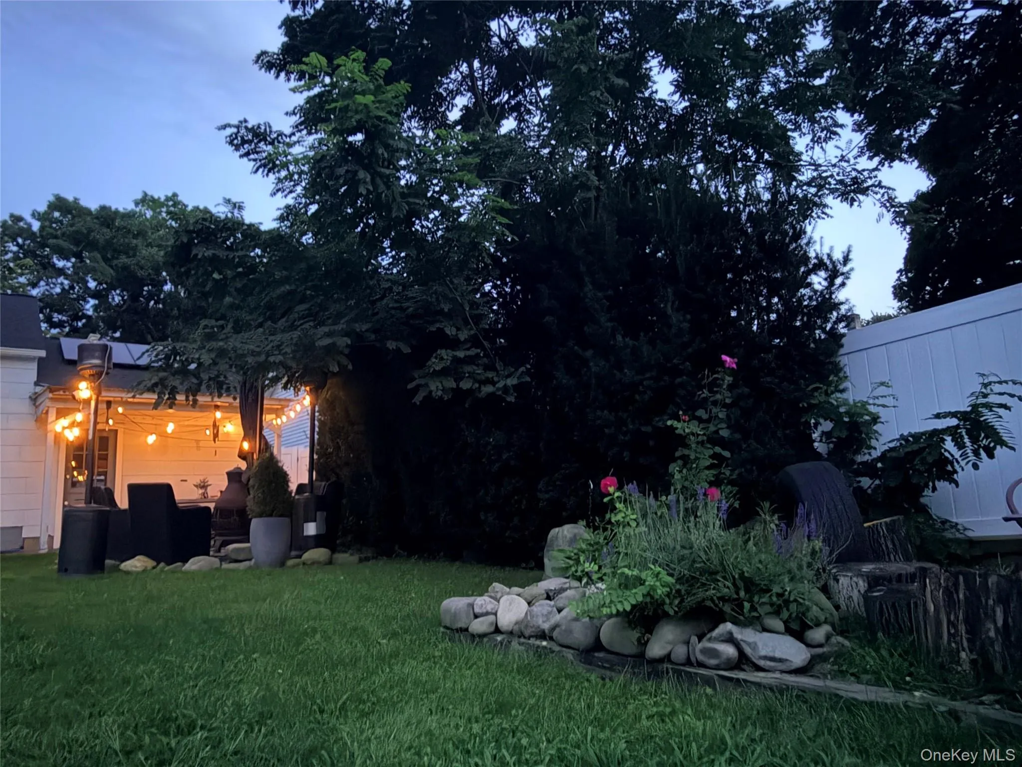 Back Yard in the evening Back Yard in the evening