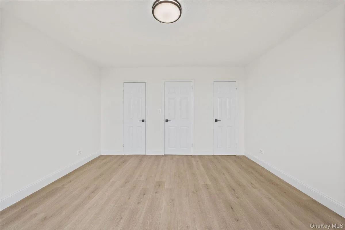 Vinyl flooring, white walls, three paneled doors with black hardware, and a semi-flush mount ceiling light Vinyl flooring, white walls, three paneled doors with black hardware, and a semi-flush mount ceiling light