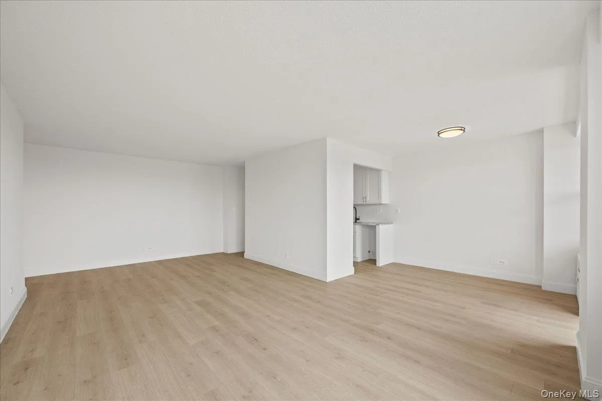 Spacious room with Vinyl flooring, recessed alcove, and an overhead flush-mount light fixture Spacious room with Vinyl flooring, recessed alcove, and an overhead flush-mount light fixture