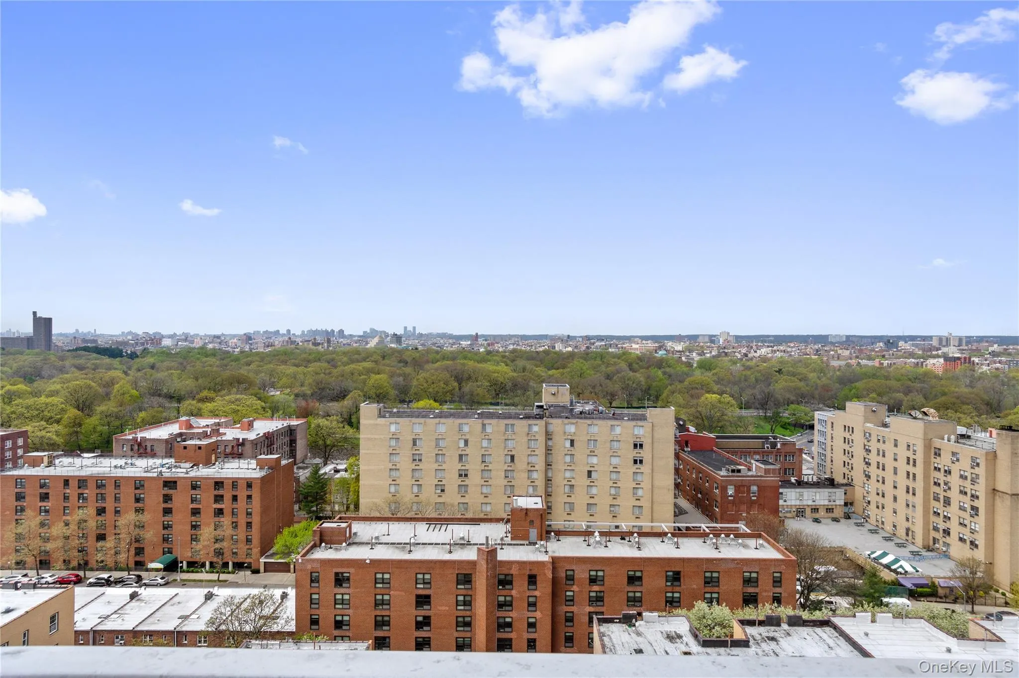 Expansive urban landscape with abundant tree canopies and distant city buildings Expansive urban landscape with abundant tree canopies and distant city buildings