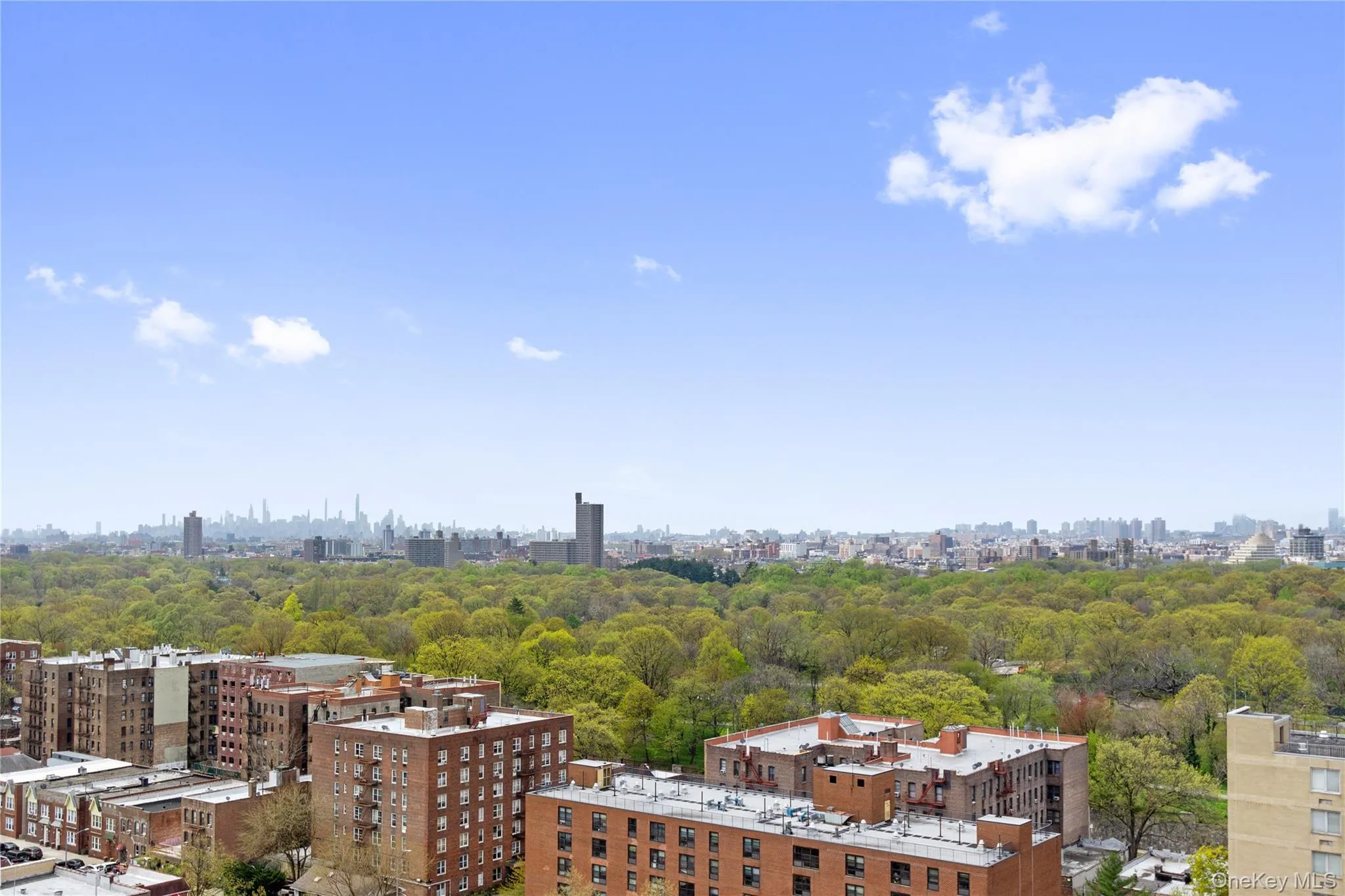 xpansive urban landscape with abundant tree canopies and distant city buildings xpansive urban landscape with abundant tree canopies and distant city buildings