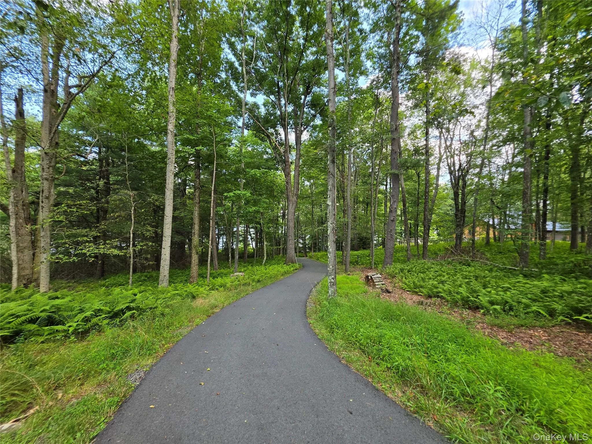 74 Oxford Drive, Bethel, NY, 4 Bedrooms Bedrooms, 7 Rooms Rooms,2 BathroomsBathrooms,Residential,For Rent,Oxford,0,1041178 74 Oxford Drive, Bethel, NY, 4 Bedrooms Bedrooms, 7 Rooms Rooms,2 BathroomsBathrooms,Residential,For Rent,Oxford,0,1041178