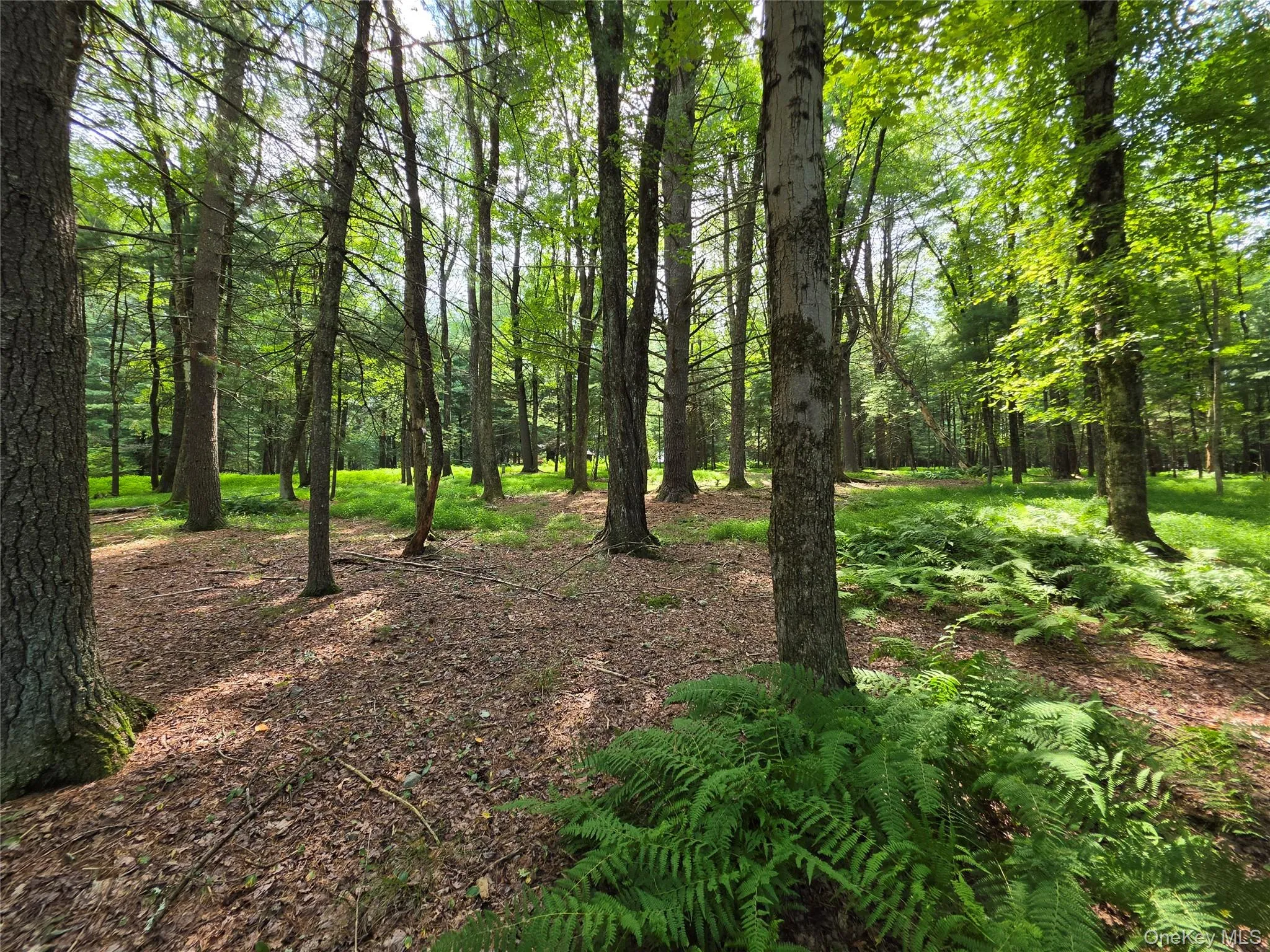 74 Oxford Drive, Bethel, NY, 4 Bedrooms Bedrooms, 7 Rooms Rooms,2 BathroomsBathrooms,Residential,For Rent,Oxford,0,1041178 74 Oxford Drive, Bethel, NY, 4 Bedrooms Bedrooms, 7 Rooms Rooms,2 BathroomsBathrooms,Residential,For Rent,Oxford,0,1041178