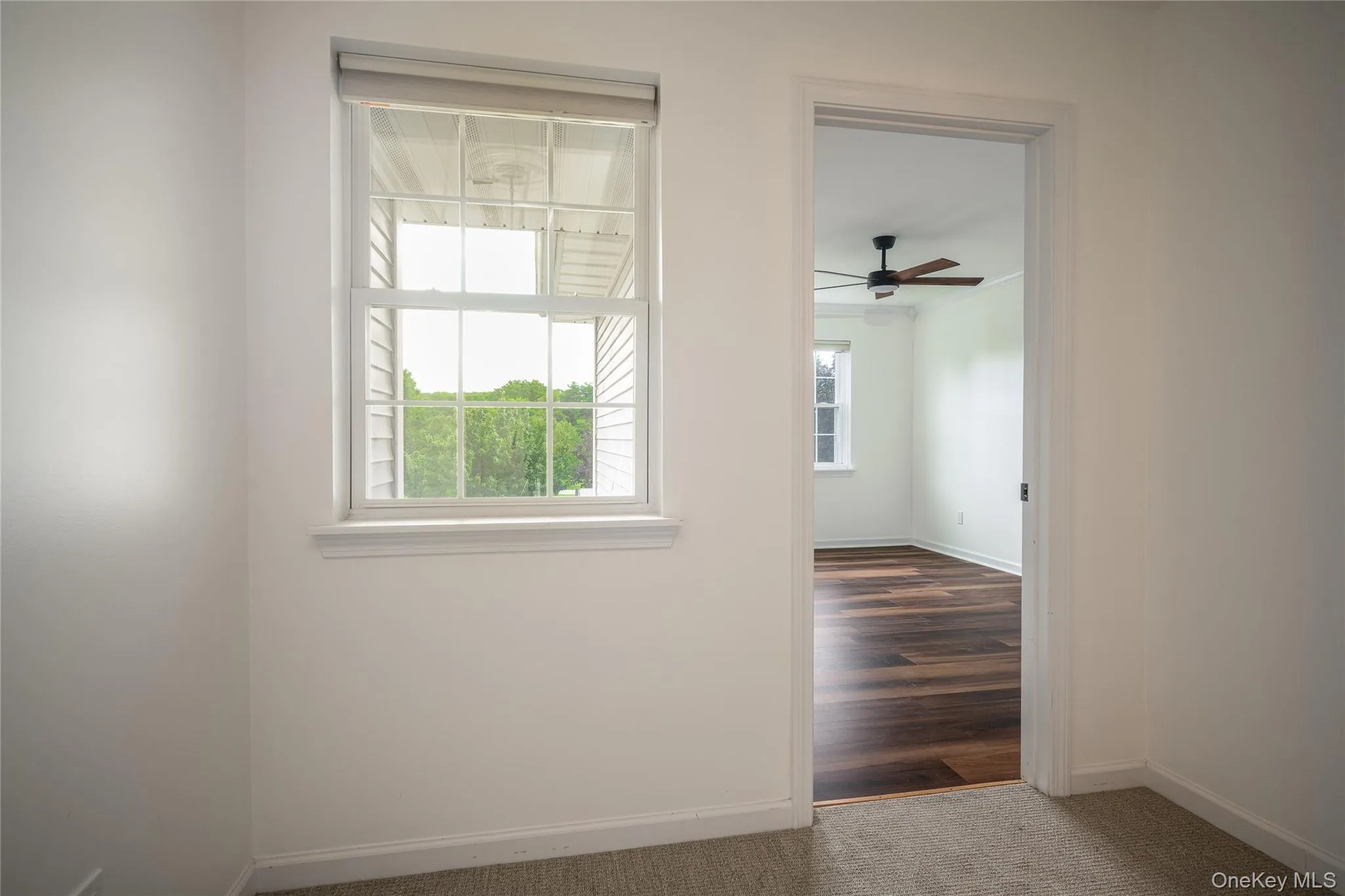 64 Tee Lane, Red Hook, NY, 3 Bedrooms Bedrooms, 7 Rooms Rooms,2 BathroomsBathrooms,Residential Lease,For Rent,Tee,0,1041204 64 Tee Lane, Red Hook, NY, 3 Bedrooms Bedrooms, 7 Rooms Rooms,2 BathroomsBathrooms,Residential Lease,For Rent,Tee,0,1041204