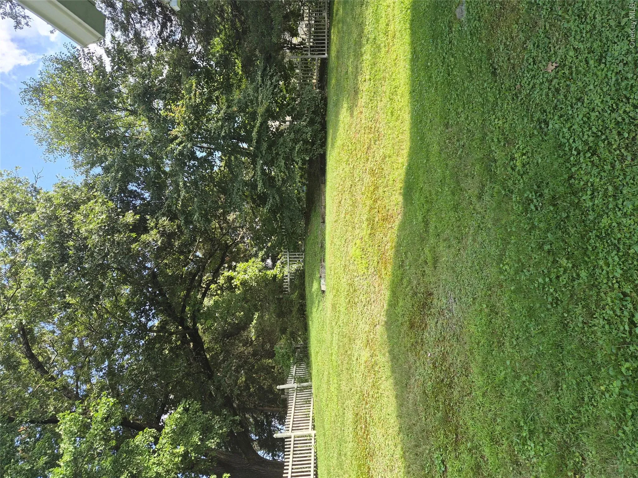 Spacious back yard with Rolling Hill, fully fenced, and tree lined Spacious back yard with Rolling Hill, fully fenced, and tree lined
