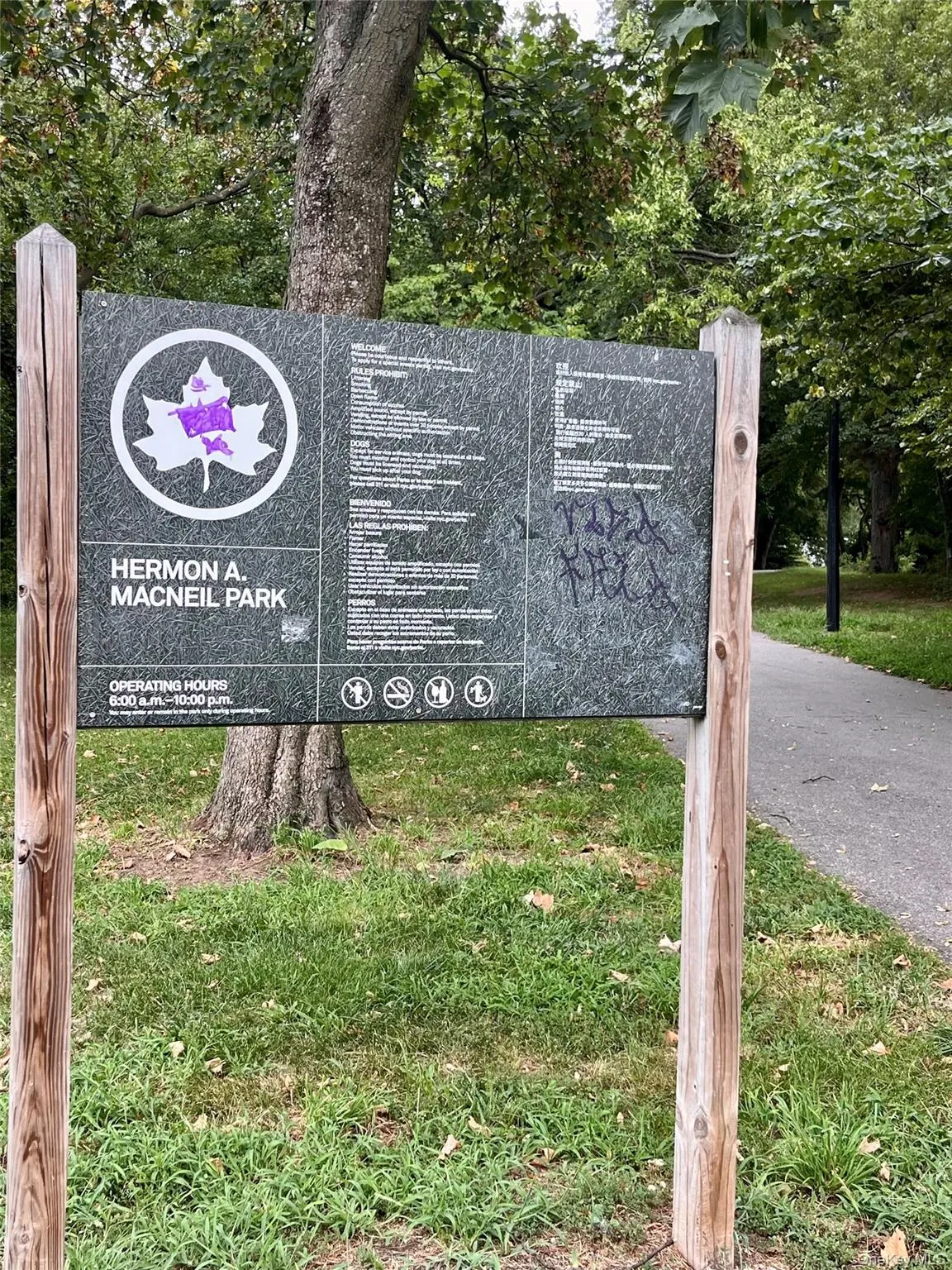 Park Park