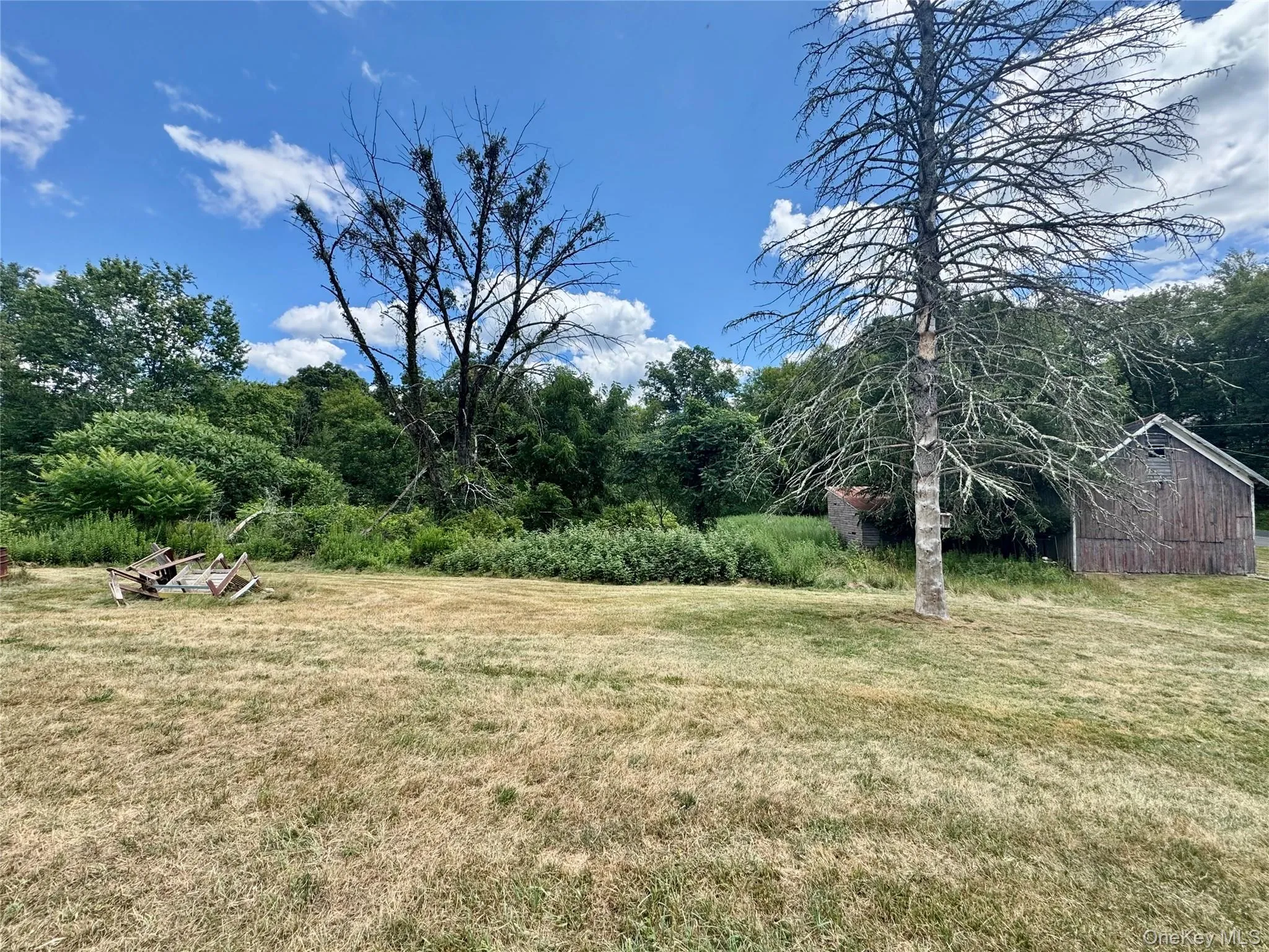 View of grassy yard with a shed View of grassy yard with a shed