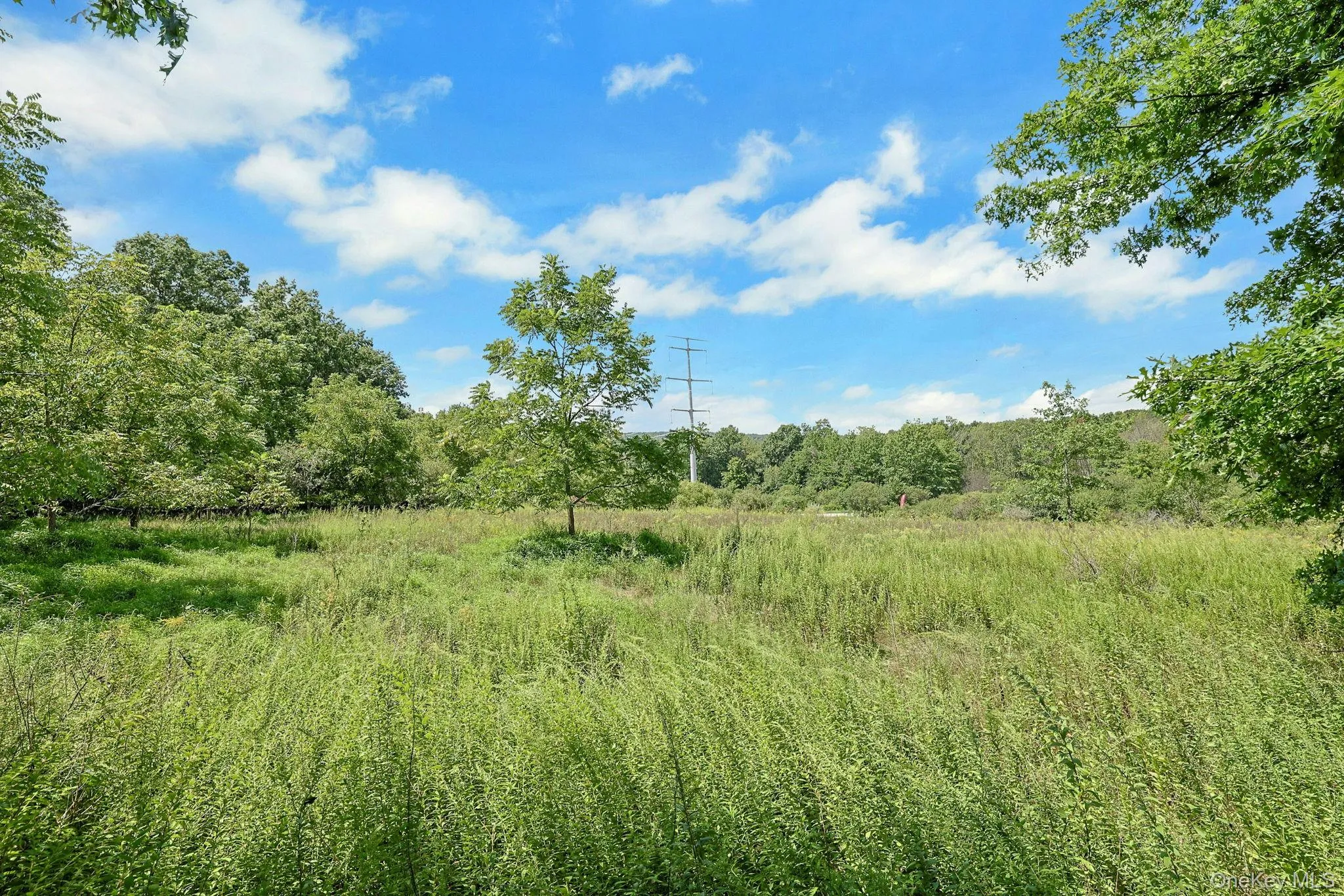 130 Apple Lane Drive, Middletown, NY, 4 Bedrooms Bedrooms, 7 Rooms Rooms,3 BathroomsBathrooms,Residential,For Rent,Apple Lane,0,1041345 130 Apple Lane Drive, Middletown, NY, 4 Bedrooms Bedrooms, 7 Rooms Rooms,3 BathroomsBathrooms,Residential,For Rent,Apple Lane,0,1041345