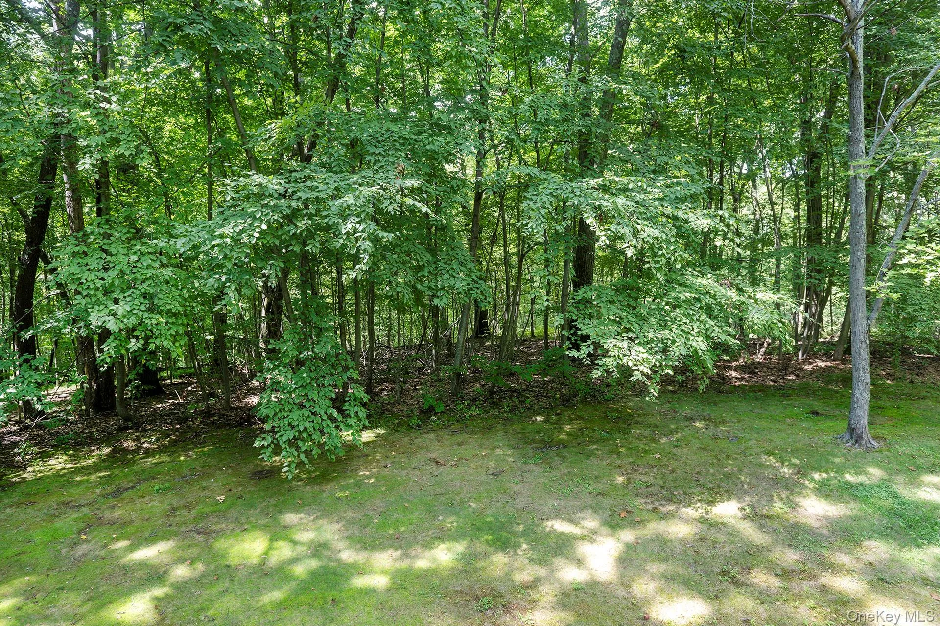 137 Old Camby Road, Union Vale, NY, 3 Bedrooms Bedrooms, 9 Rooms Rooms,2 BathroomsBathrooms,Residential,For Rent,Old Camby,0,1041362 137 Old Camby Road, Union Vale, NY, 3 Bedrooms Bedrooms, 9 Rooms Rooms,2 BathroomsBathrooms,Residential,For Rent,Old Camby,0,1041362
