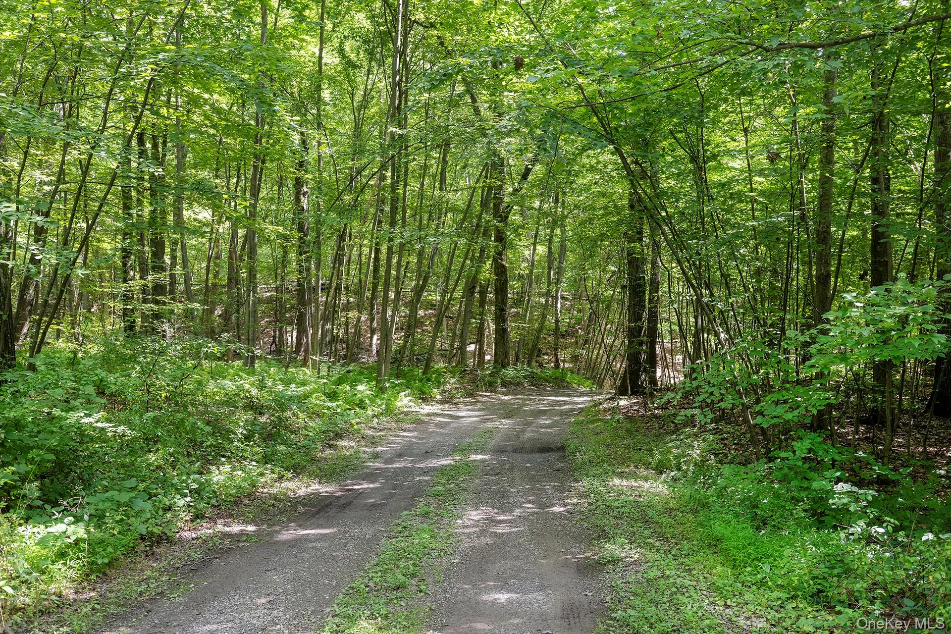137 Old Camby Road, Union Vale, NY, 3 Bedrooms Bedrooms, 9 Rooms Rooms,2 BathroomsBathrooms,Residential,For Rent,Old Camby,0,1041362 137 Old Camby Road, Union Vale, NY, 3 Bedrooms Bedrooms, 9 Rooms Rooms,2 BathroomsBathrooms,Residential,For Rent,Old Camby,0,1041362