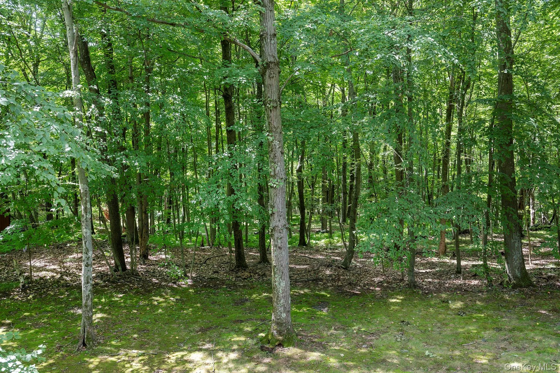137 Old Camby Road, Union Vale, NY, 3 Bedrooms Bedrooms, 9 Rooms Rooms,2 BathroomsBathrooms,Residential,For Rent,Old Camby,0,1041362 137 Old Camby Road, Union Vale, NY, 3 Bedrooms Bedrooms, 9 Rooms Rooms,2 BathroomsBathrooms,Residential,For Rent,Old Camby,0,1041362