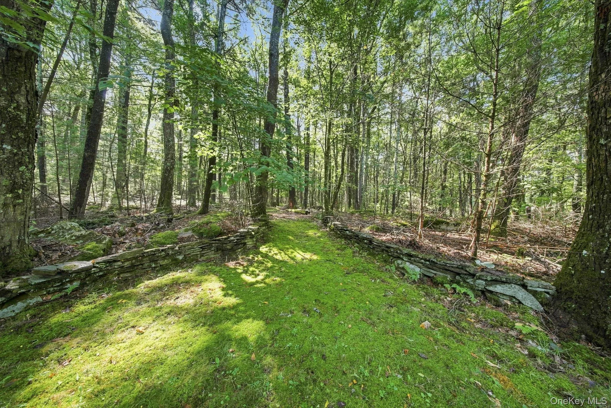 108 Leers Road, Lumberland, NY, 3 Bedrooms Bedrooms, 5 Rooms Rooms,2 BathroomsBathrooms,Residential,For Rent,Leers,0,1041370 108 Leers Road, Lumberland, NY, 3 Bedrooms Bedrooms, 5 Rooms Rooms,2 BathroomsBathrooms,Residential,For Rent,Leers,0,1041370