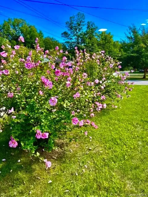 Lovely landscaping Lovely landscaping