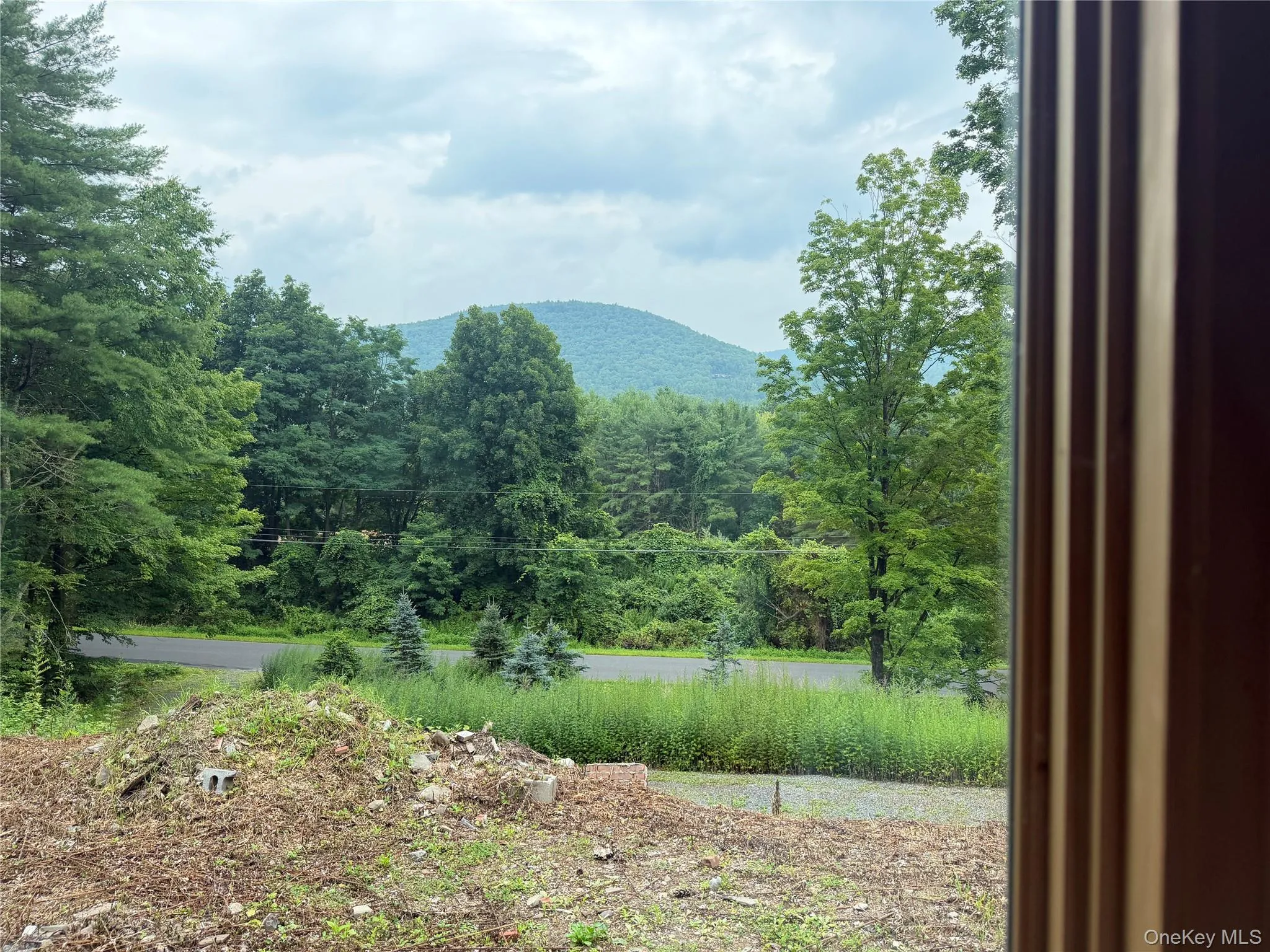 Living Room Window view Living Room Window view