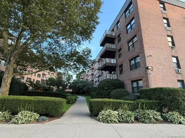 3 Birchwood Court, North Hempstead, NY, 3 Rooms Rooms,1 BathroomBathrooms,Residential,For Rent,Birchwood,0,1041436 3 Birchwood Court, North Hempstead, NY, 3 Rooms Rooms,1 BathroomBathrooms,Residential,For Rent,Birchwood,0,1041436