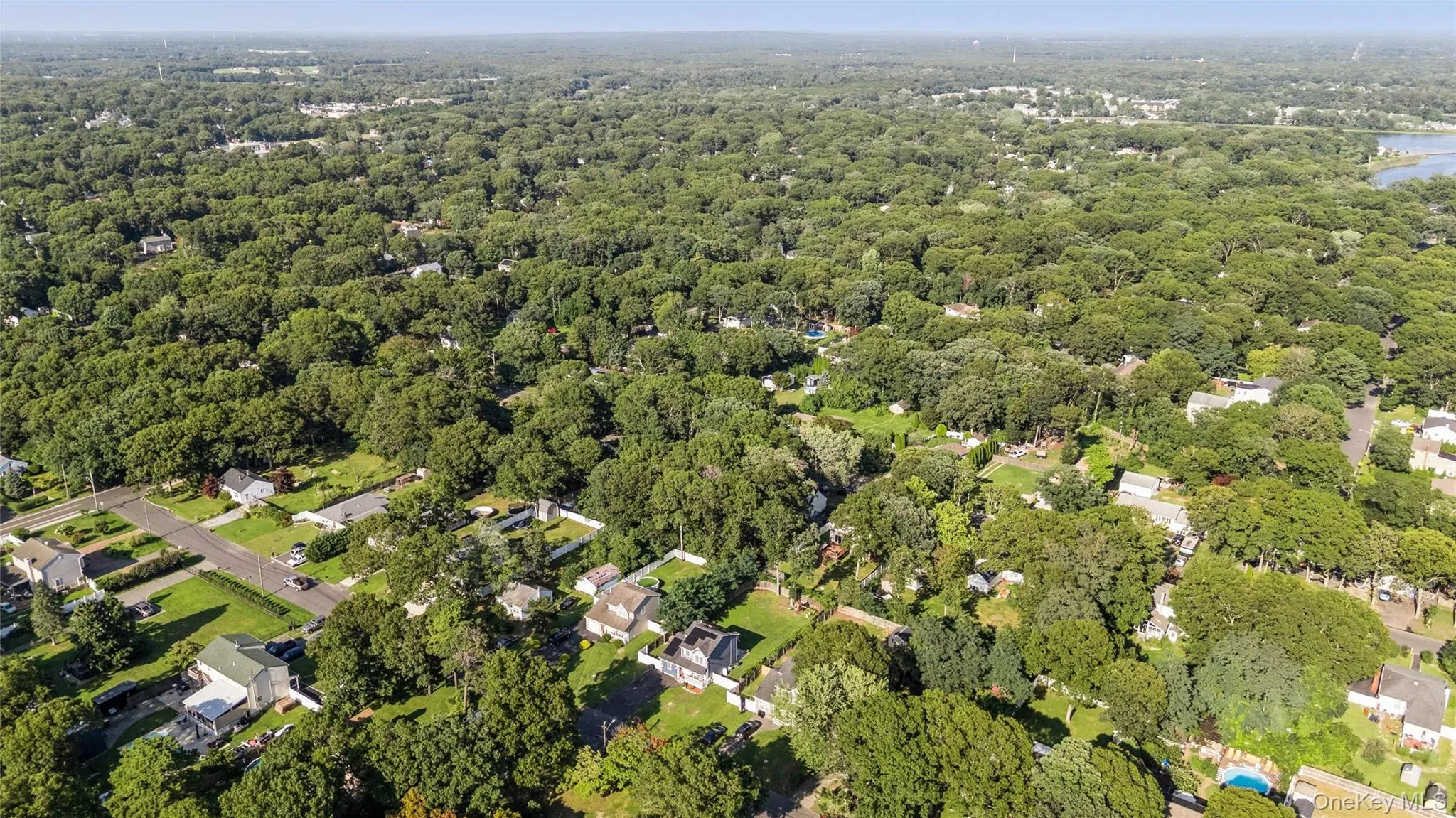 Aerial perspective showcasing a verdant landscape with extensive tree canopy Aerial perspective showcasing a verdant landscape with extensive tree canopy