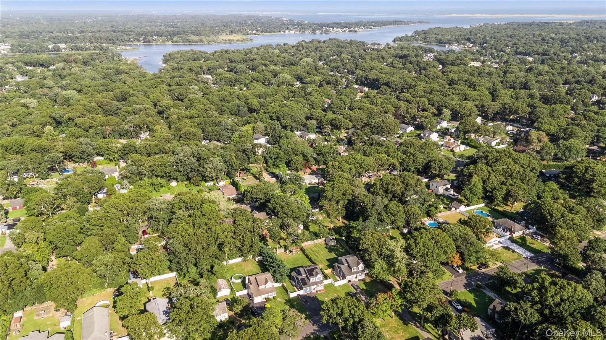 Aerial perspective showcasing a verdant landscape with extensive tree canopy Aerial perspective showcasing a verdant landscape with extensive tree canopy