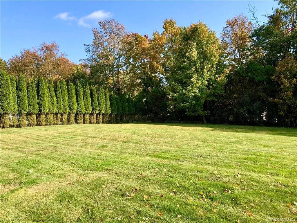 One "ACRE" level backyard One "ACRE" level backyard