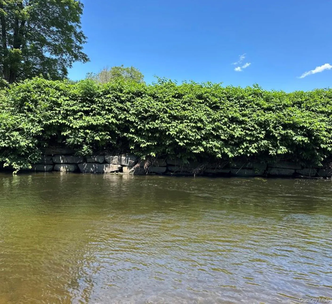 40 River Street, Rockland, NY, 2 Bedrooms Bedrooms, 5 Rooms Rooms,1 BathroomBathrooms,Residential Lease,For Rent,River,0,1041489 40 River Street, Rockland, NY, 2 Bedrooms Bedrooms, 5 Rooms Rooms,1 BathroomBathrooms,Residential Lease,For Rent,River,0,1041489