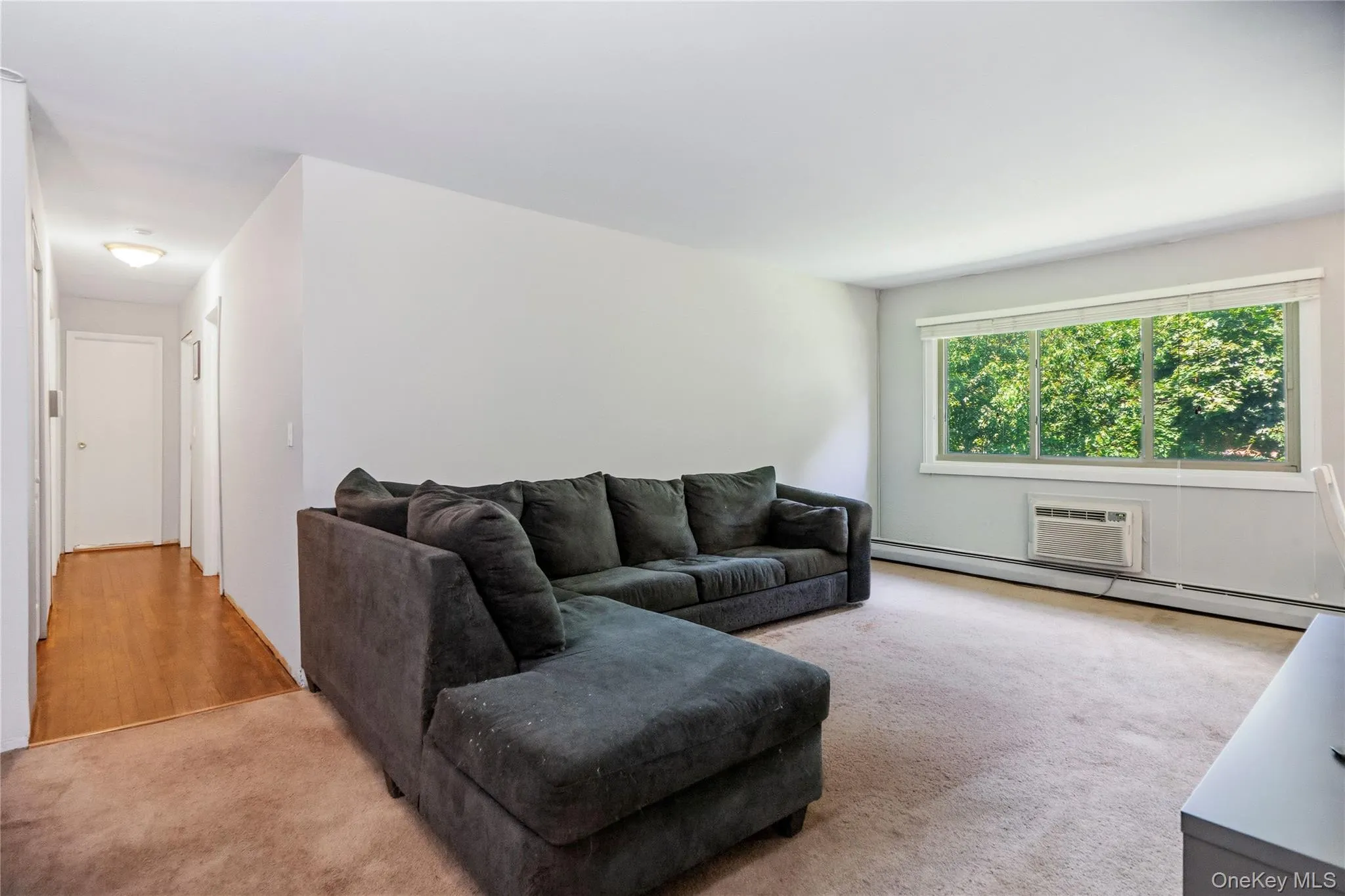 Hardwood Floor under carpet Hardwood Floor under carpet