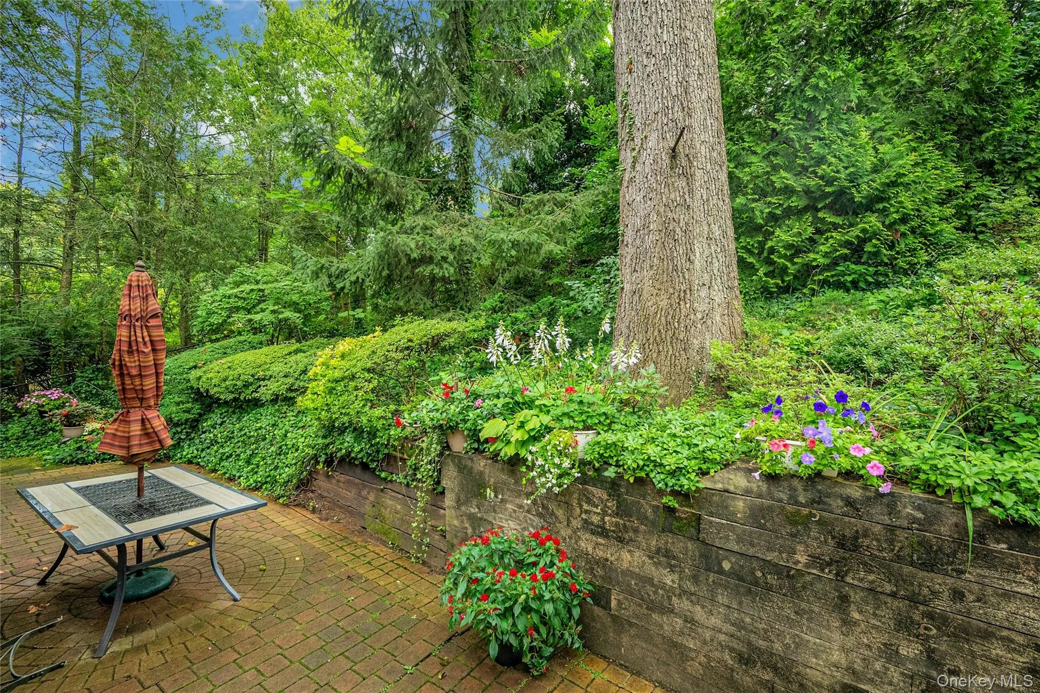 44 Hillside Lane, New Rochelle, NY, 4 Bedrooms Bedrooms, 8 Rooms Rooms,2 BathroomsBathrooms,Residential,For Rent,Hillside,0,1041525 44 Hillside Lane, New Rochelle, NY, 4 Bedrooms Bedrooms, 8 Rooms Rooms,2 BathroomsBathrooms,Residential,For Rent,Hillside,0,1041525