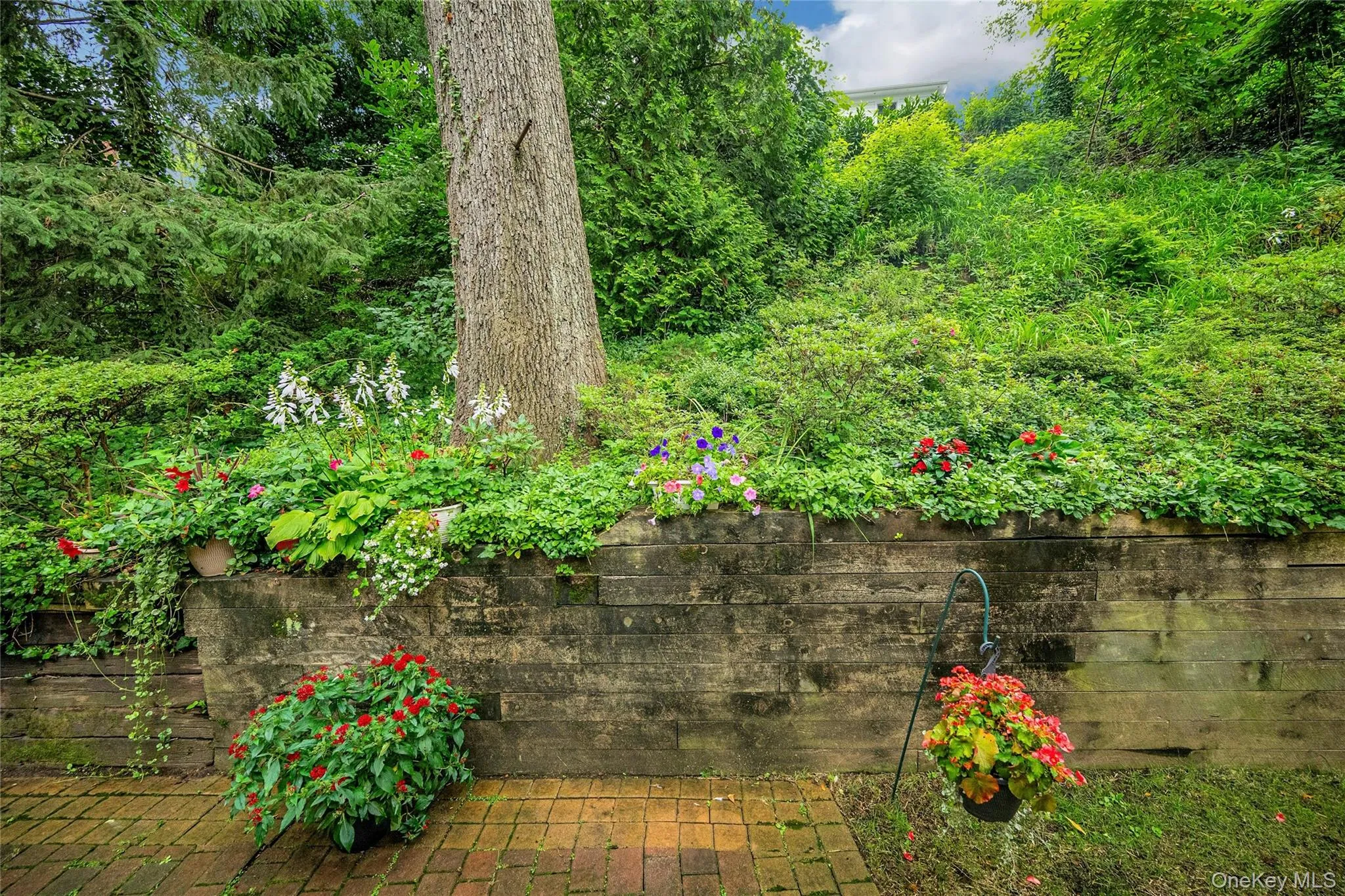 44 Hillside Lane, New Rochelle, NY, 4 Bedrooms Bedrooms, 8 Rooms Rooms,2 BathroomsBathrooms,Residential,For Rent,Hillside,0,1041525 44 Hillside Lane, New Rochelle, NY, 4 Bedrooms Bedrooms, 8 Rooms Rooms,2 BathroomsBathrooms,Residential,For Rent,Hillside,0,1041525