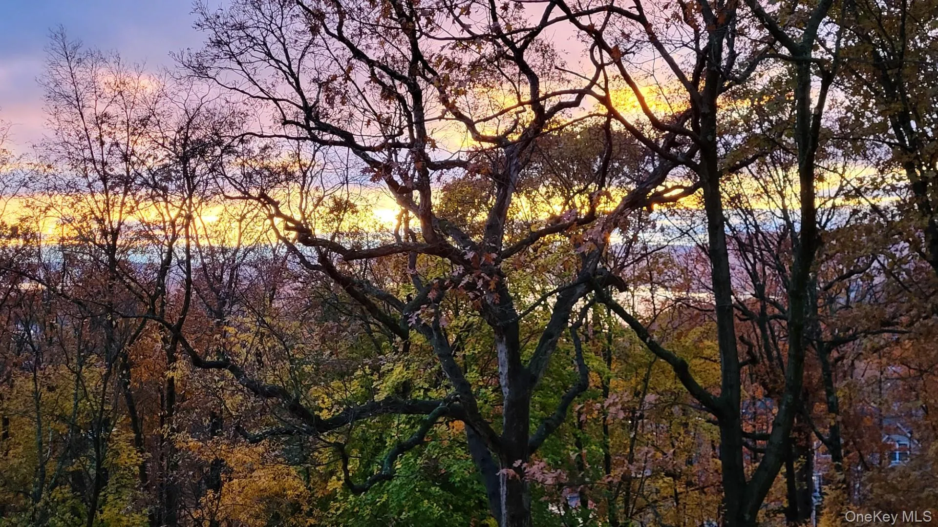 150 Overlook Avenue, Peekskill, NY, 2 Rooms Rooms,1 BathroomBathrooms,Residential,For Rent,Overlook,0,1041547 150 Overlook Avenue, Peekskill, NY, 2 Rooms Rooms,1 BathroomBathrooms,Residential,For Rent,Overlook,0,1041547