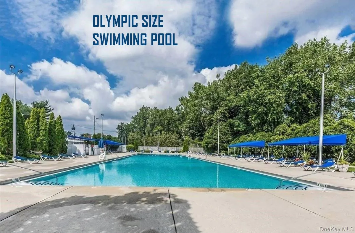 Expansive swimming pool with surrounding concrete decking, mature perimeter trees, and integrated lighting fixtures Expansive swimming pool with surrounding concrete decking, mature perimeter trees, and integrated lighting fixtures