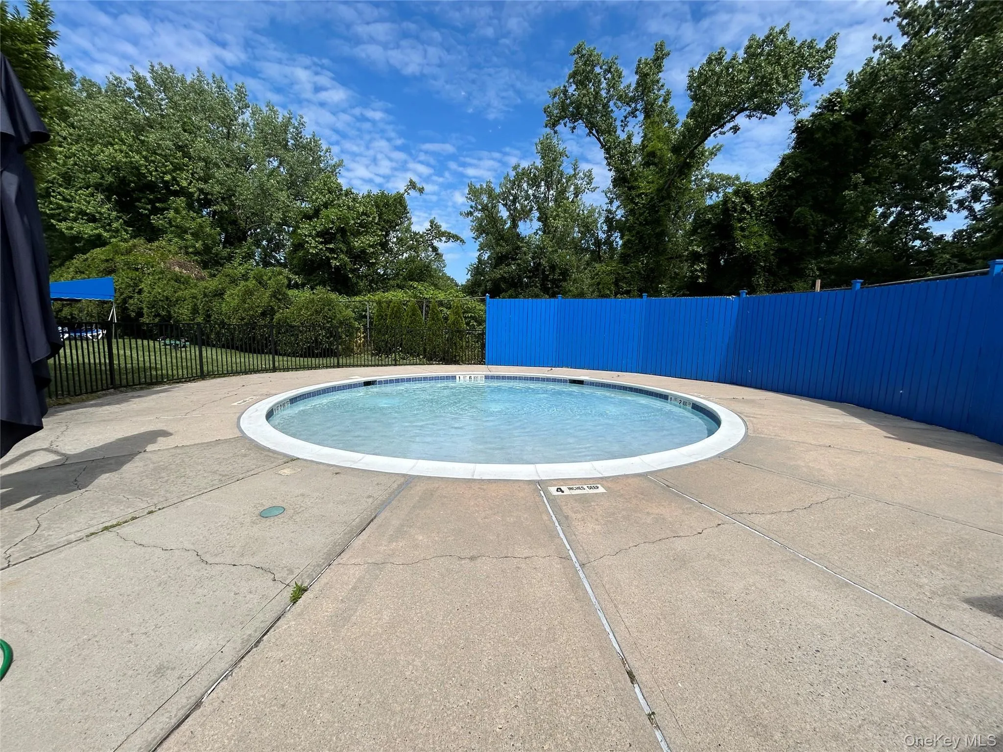 Circular inground pool with a surrounding concrete deck Circular inground pool with a surrounding concrete deck