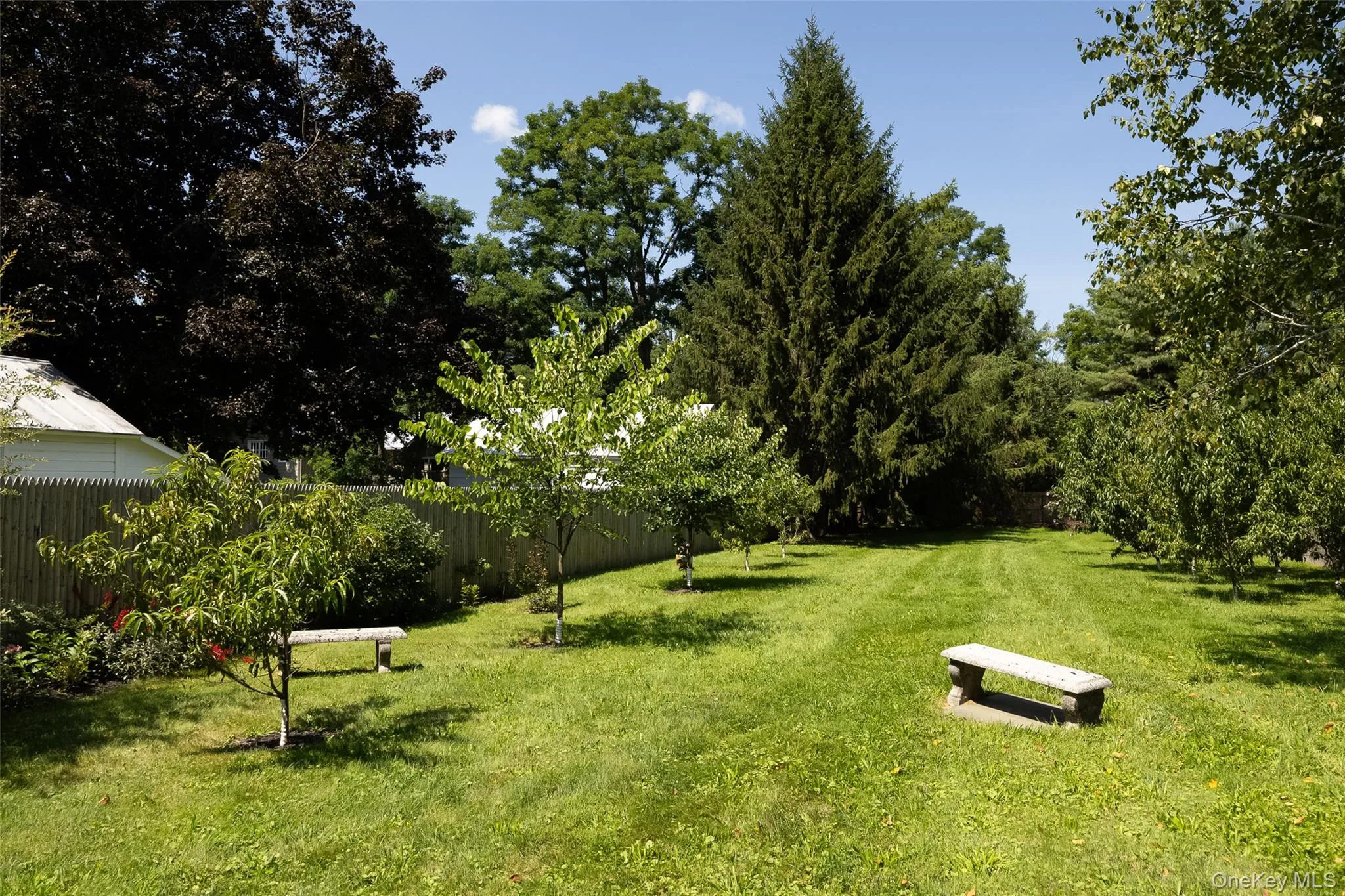 Backyard. Backyard.