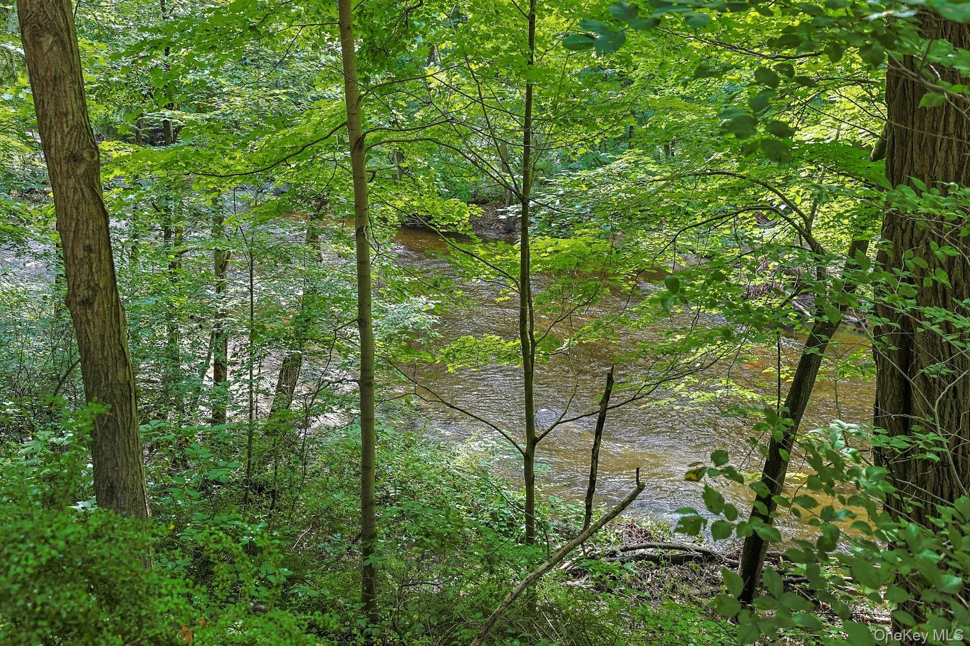 The beautiful Hollowbrook below tumbles its way toward the Hudson. Hear only the sound of rushing water and the happy notes of bird song. The beautiful Hollowbrook below tumbles its way toward the Hudson. Hear only the sound of rushing water and the happy notes of bird song.
