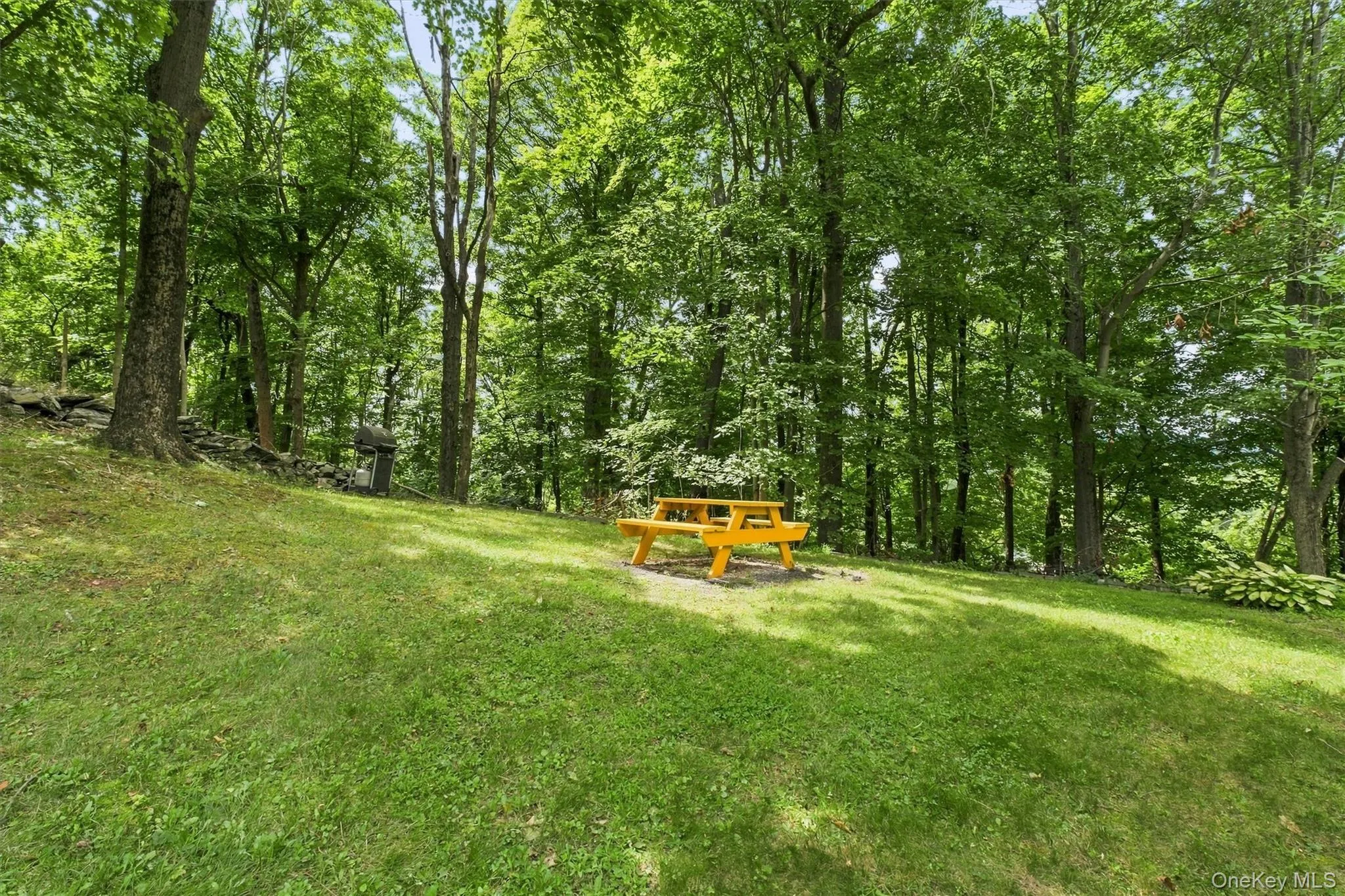 4 Chaucer Road, Hyde Park, NY, 3 Bedrooms Bedrooms, 9 Rooms Rooms,2 BathroomsBathrooms,Residential,For Rent,Chaucer,0,1041708 4 Chaucer Road, Hyde Park, NY, 3 Bedrooms Bedrooms, 9 Rooms Rooms,2 BathroomsBathrooms,Residential,For Rent,Chaucer,0,1041708