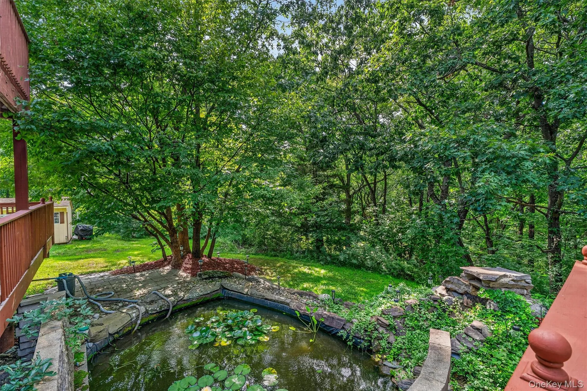 Koi pond with fish Koi pond with fish