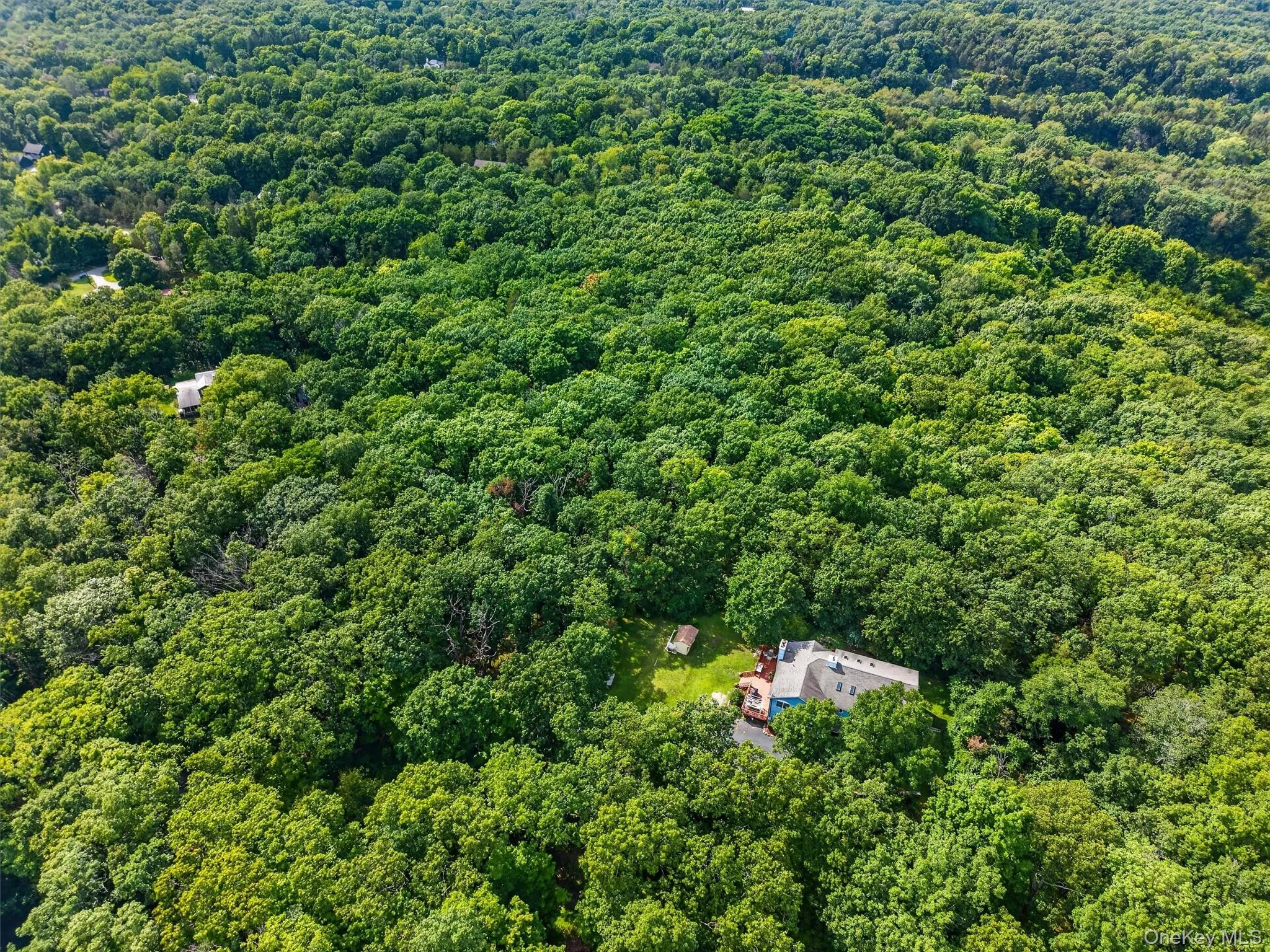 65 Oxford Springs Road, Blooming Grove, NY, 5 Bedrooms Bedrooms, 11 Rooms Rooms,3 BathroomsBathrooms,Residential,For Rent,Oxford Springs,0,1041722 65 Oxford Springs Road, Blooming Grove, NY, 5 Bedrooms Bedrooms, 11 Rooms Rooms,3 BathroomsBathrooms,Residential,For Rent,Oxford Springs,0,1041722