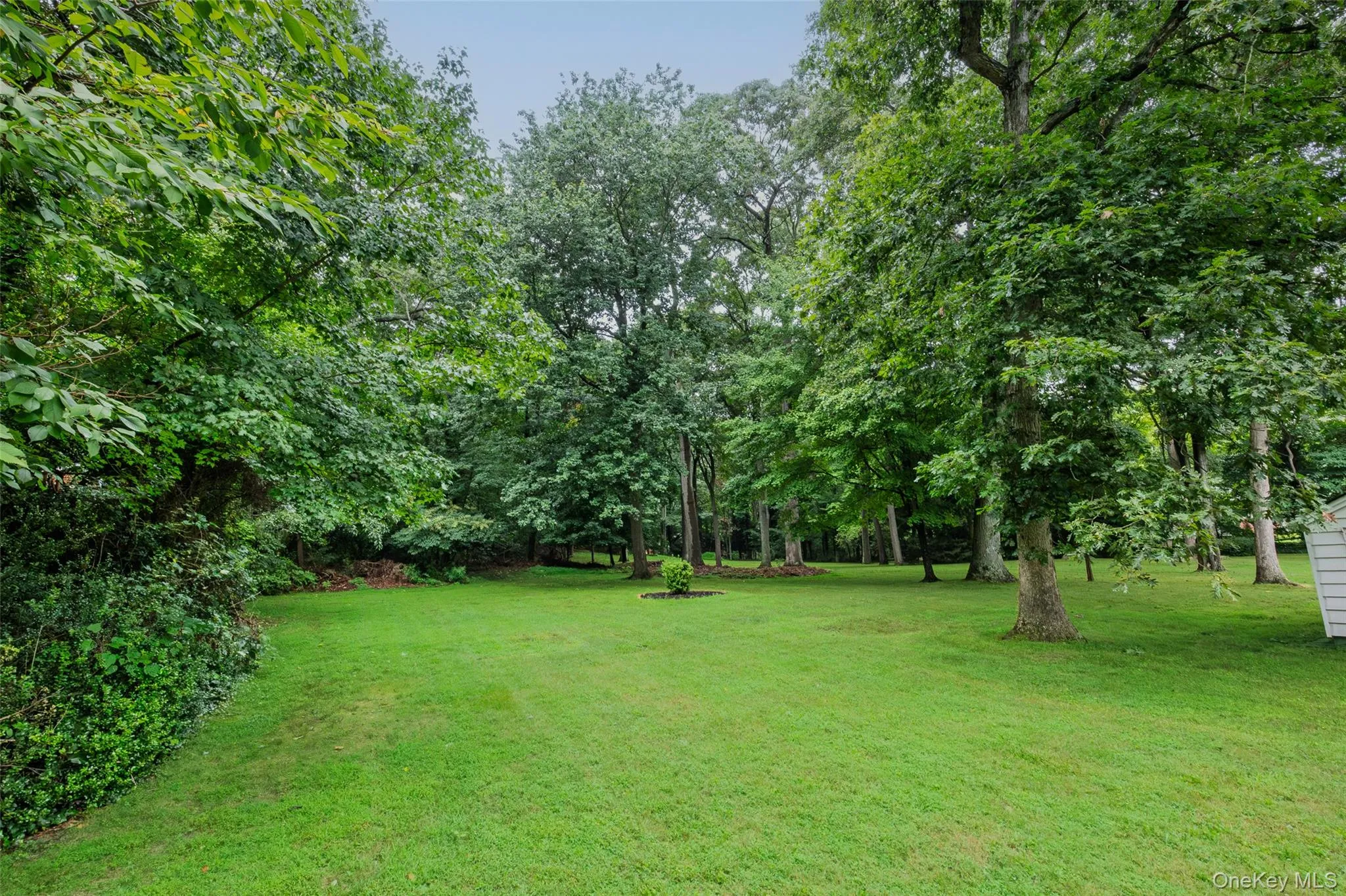 99 Warner Road, Huntington, NY, 4 Bedrooms Bedrooms, 6 Rooms Rooms,2 BathroomsBathrooms,Residential,For Rent,Warner,0,1041730 99 Warner Road, Huntington, NY, 4 Bedrooms Bedrooms, 6 Rooms Rooms,2 BathroomsBathrooms,Residential,For Rent,Warner,0,1041730