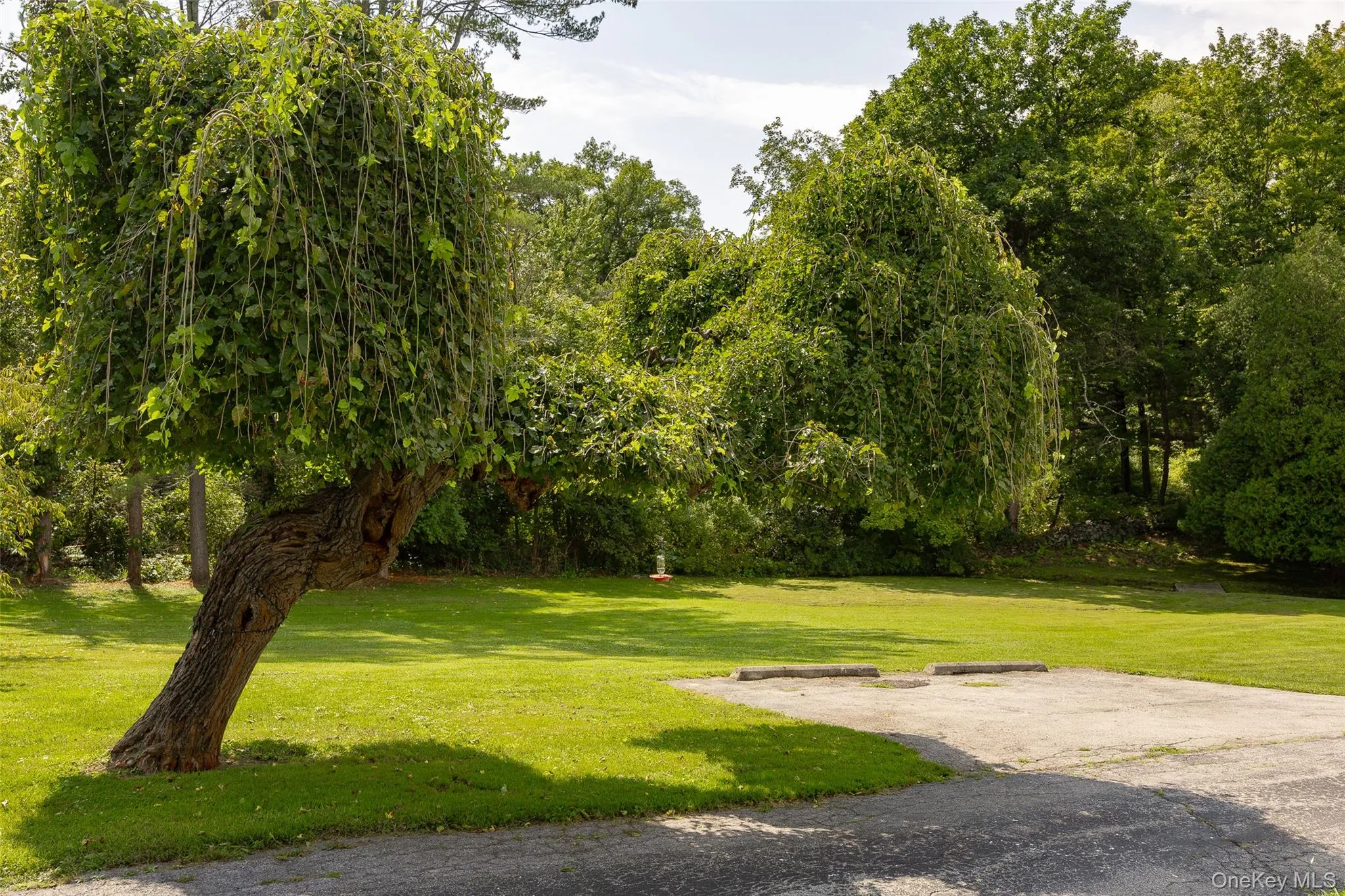 9 Hughes Avenue, Hyde Park, NY, 3 Bedrooms Bedrooms, 6 Rooms Rooms,2 BathroomsBathrooms,Residential,For Rent,Hughes,0,1041782 9 Hughes Avenue, Hyde Park, NY, 3 Bedrooms Bedrooms, 6 Rooms Rooms,2 BathroomsBathrooms,Residential,For Rent,Hughes,0,1041782