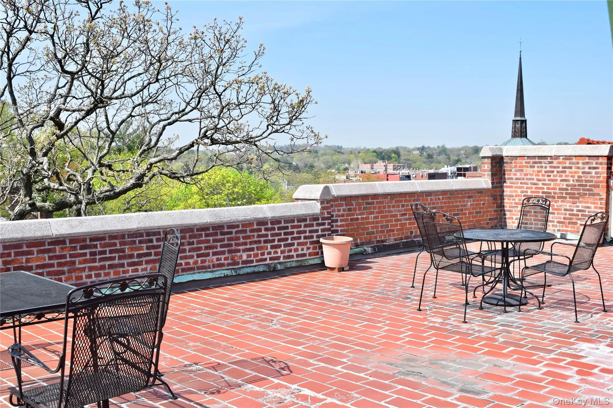 Common rooftop terrace. Common rooftop terrace.
