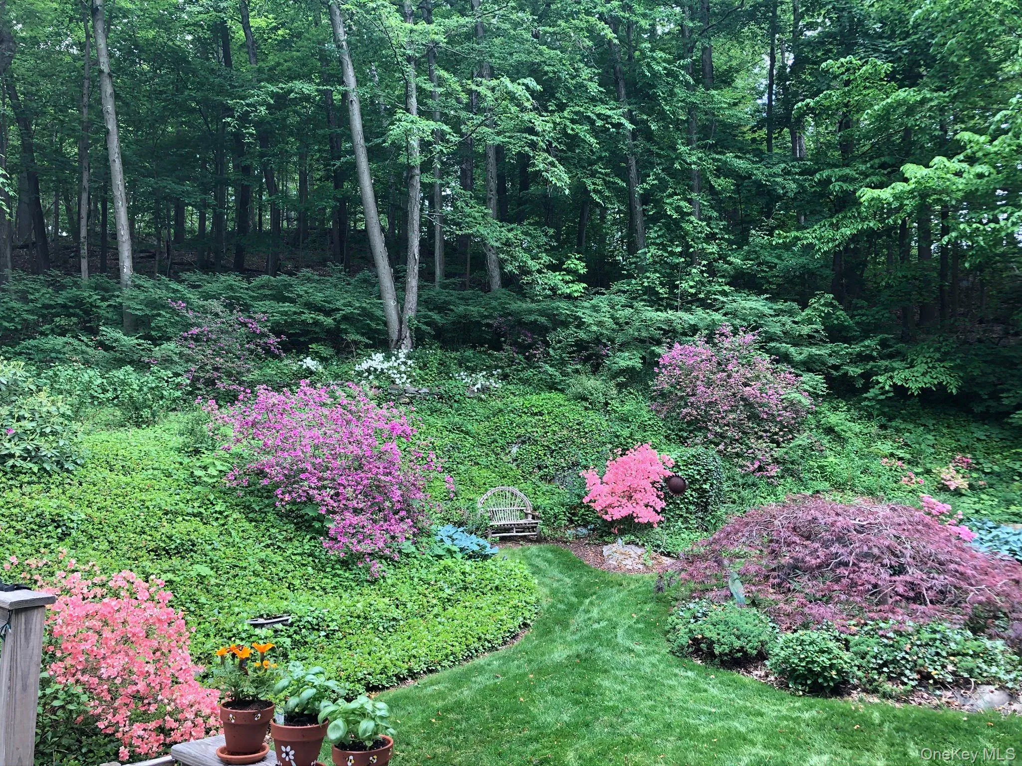 180 Somerstown Road, New Castle, NY, 3 Bedrooms Bedrooms, 8 Rooms Rooms,2 BathroomsBathrooms,Residential,For Rent,Somerstown,0,1041830 180 Somerstown Road, New Castle, NY, 3 Bedrooms Bedrooms, 8 Rooms Rooms,2 BathroomsBathrooms,Residential,For Rent,Somerstown,0,1041830