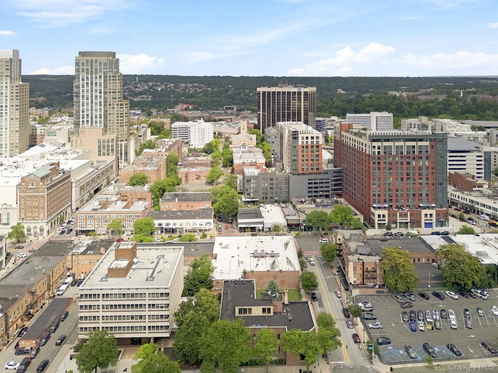 99 Court Street, White Plains, NY, ,Commercial Lease,For Rent,Court,0,1041842 99 Court Street, White Plains, NY, ,Commercial Lease,For Rent,Court,0,1041842