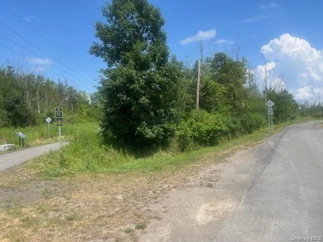 Pulcher Avenue, Hudson, NY, ,Land,For Rent,Pulcher,0,1041868 Pulcher Avenue, Hudson, NY, ,Land,For Rent,Pulcher,0,1041868