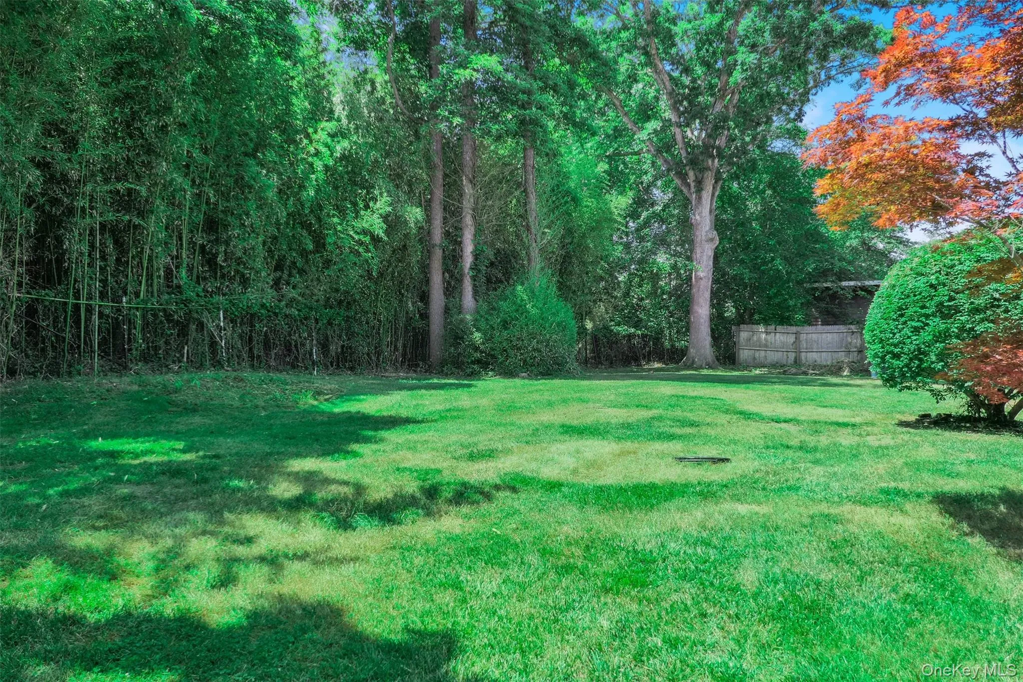 12 Clover Lane, Brookhaven, NY, 3 Bedrooms Bedrooms, 6 Rooms Rooms,2 BathroomsBathrooms,Residential,For Rent,Clover,0,1041870 12 Clover Lane, Brookhaven, NY, 3 Bedrooms Bedrooms, 6 Rooms Rooms,2 BathroomsBathrooms,Residential,For Rent,Clover,0,1041870