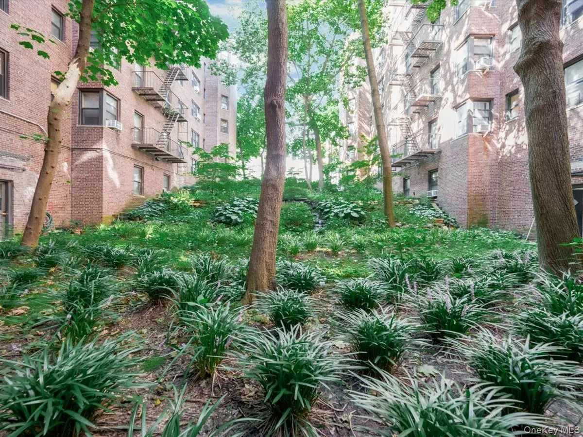 69-10 Yellowstone Boulevard, New York, NY, 1 Bedroom Bedrooms, 4 Rooms Rooms,1 BathroomBathrooms,Residential,For Rent,Yellowstone,0,1041873 69-10 Yellowstone Boulevard, New York, NY, 1 Bedroom Bedrooms, 4 Rooms Rooms,1 BathroomBathrooms,Residential,For Rent,Yellowstone,0,1041873