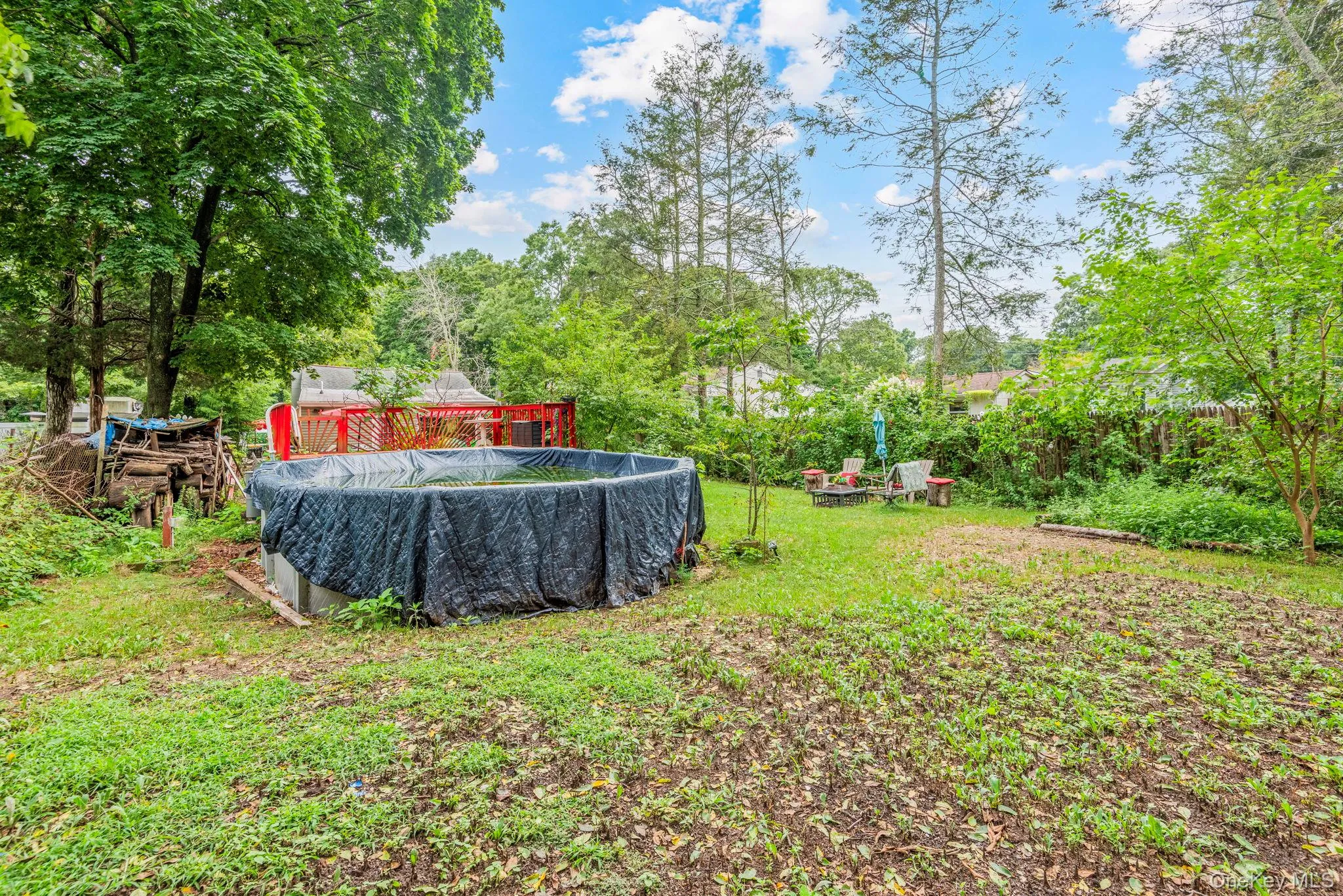 Backyard Backyard