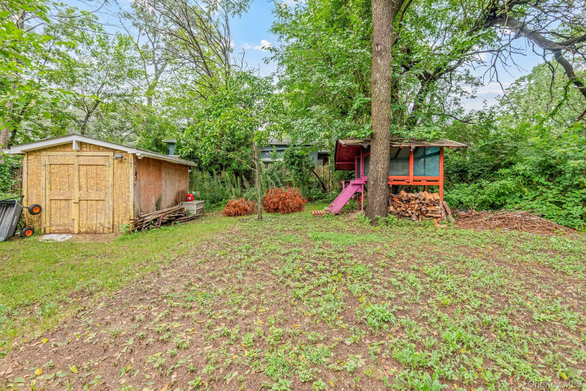 Backyard and Shed Backyard and Shed