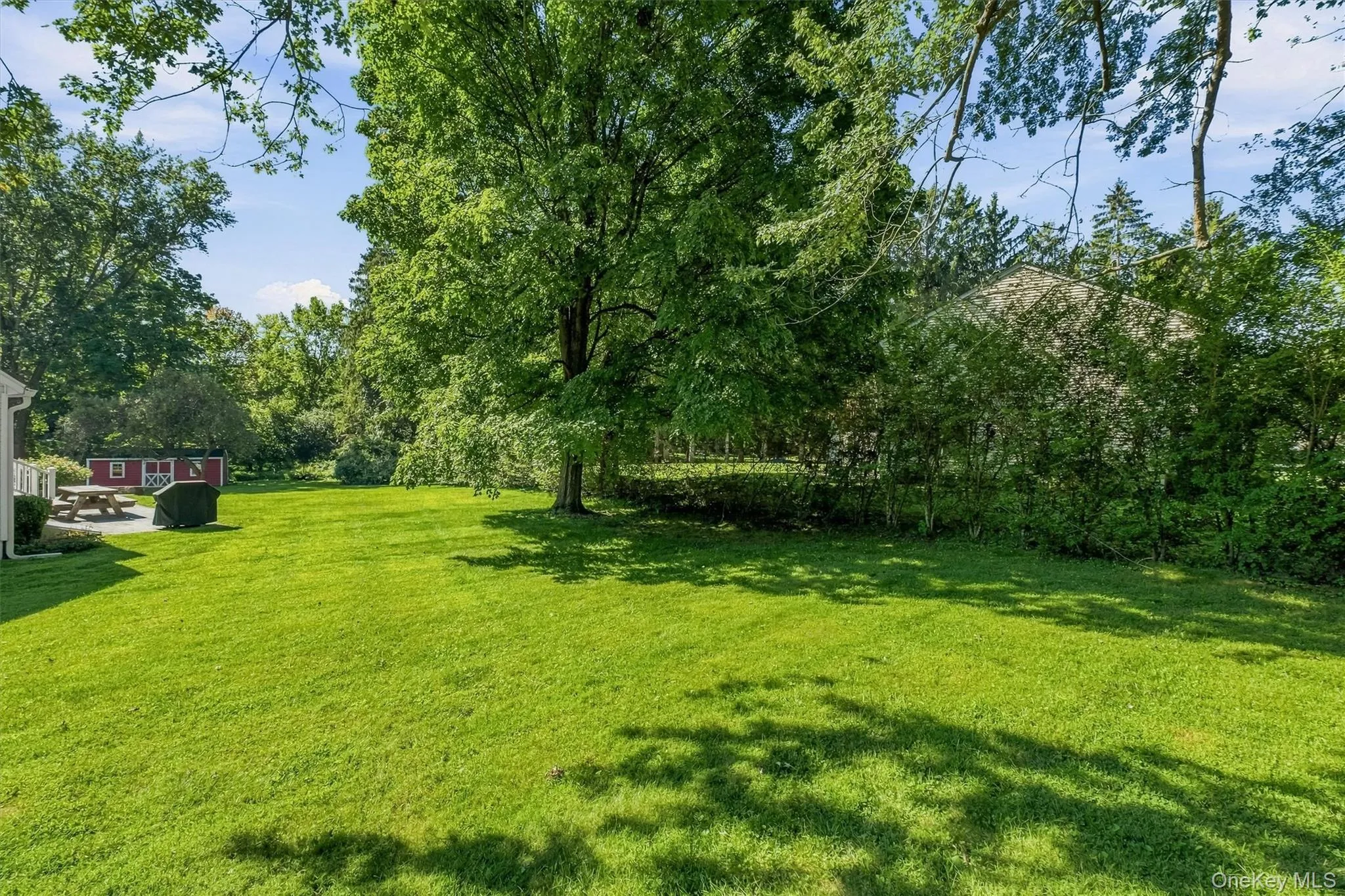 Level backyard Level backyard