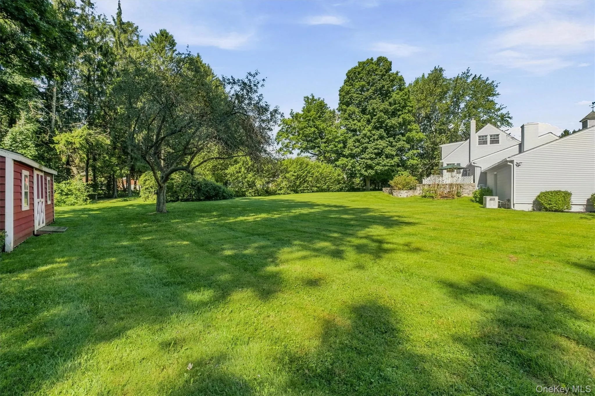 Level backyard Level backyard
